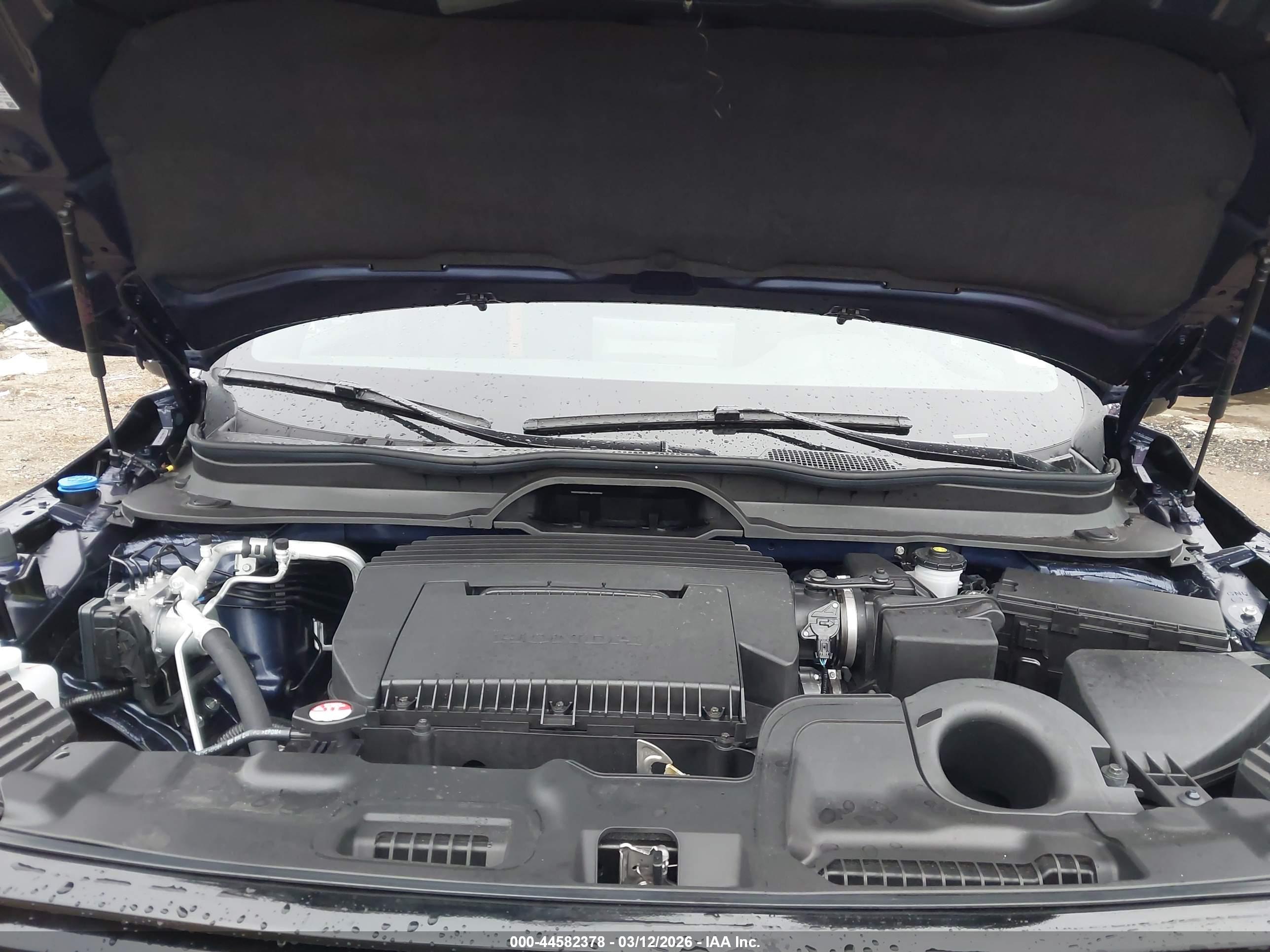HONDA PASSPORT image 10
