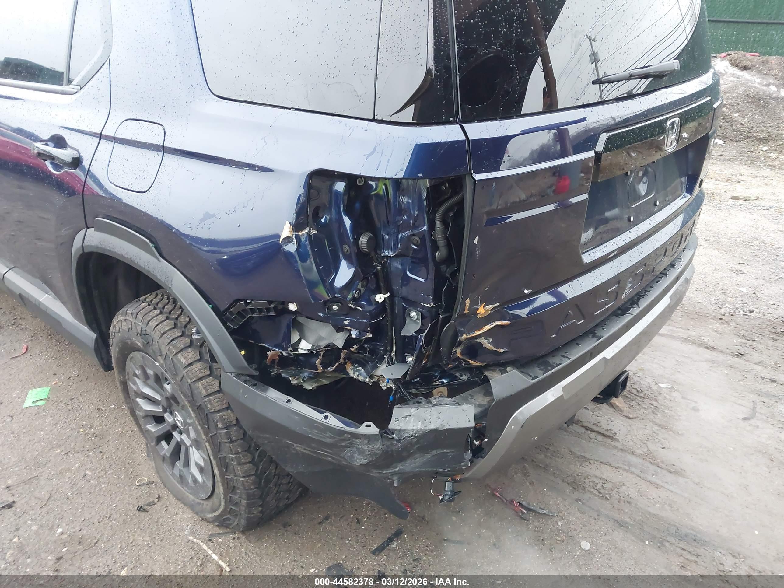 HONDA PASSPORT image 6