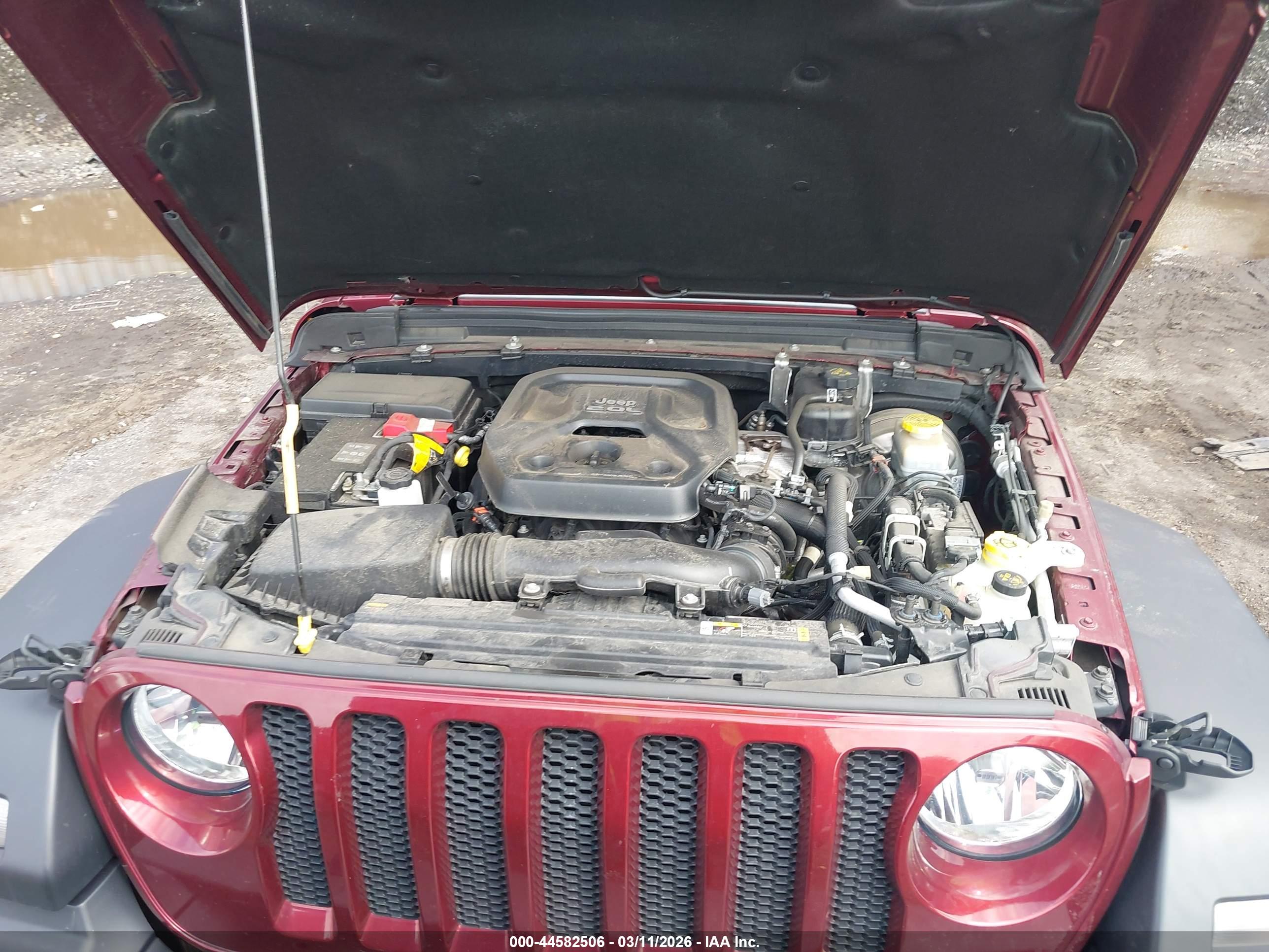 JEEP WRANGLER image 10