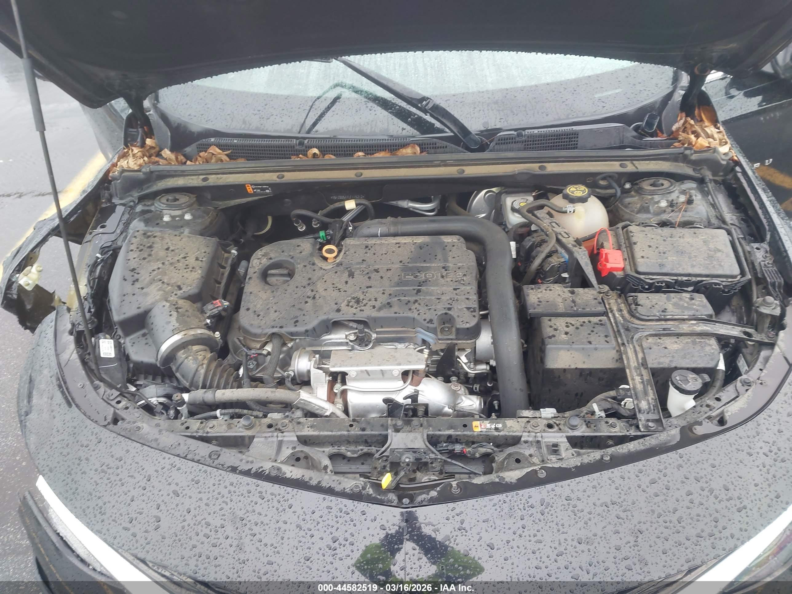 CHEVROLET MALIBU image 10