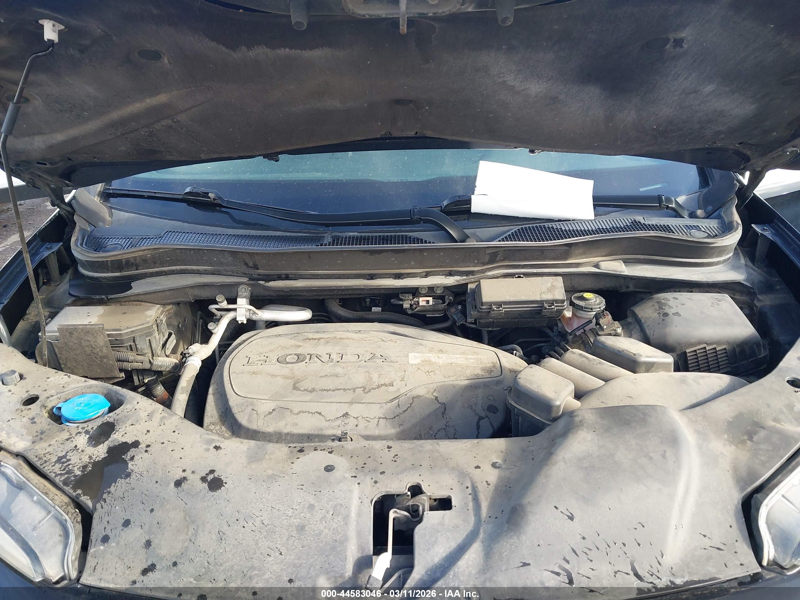 HONDA PASSPORT image 10
