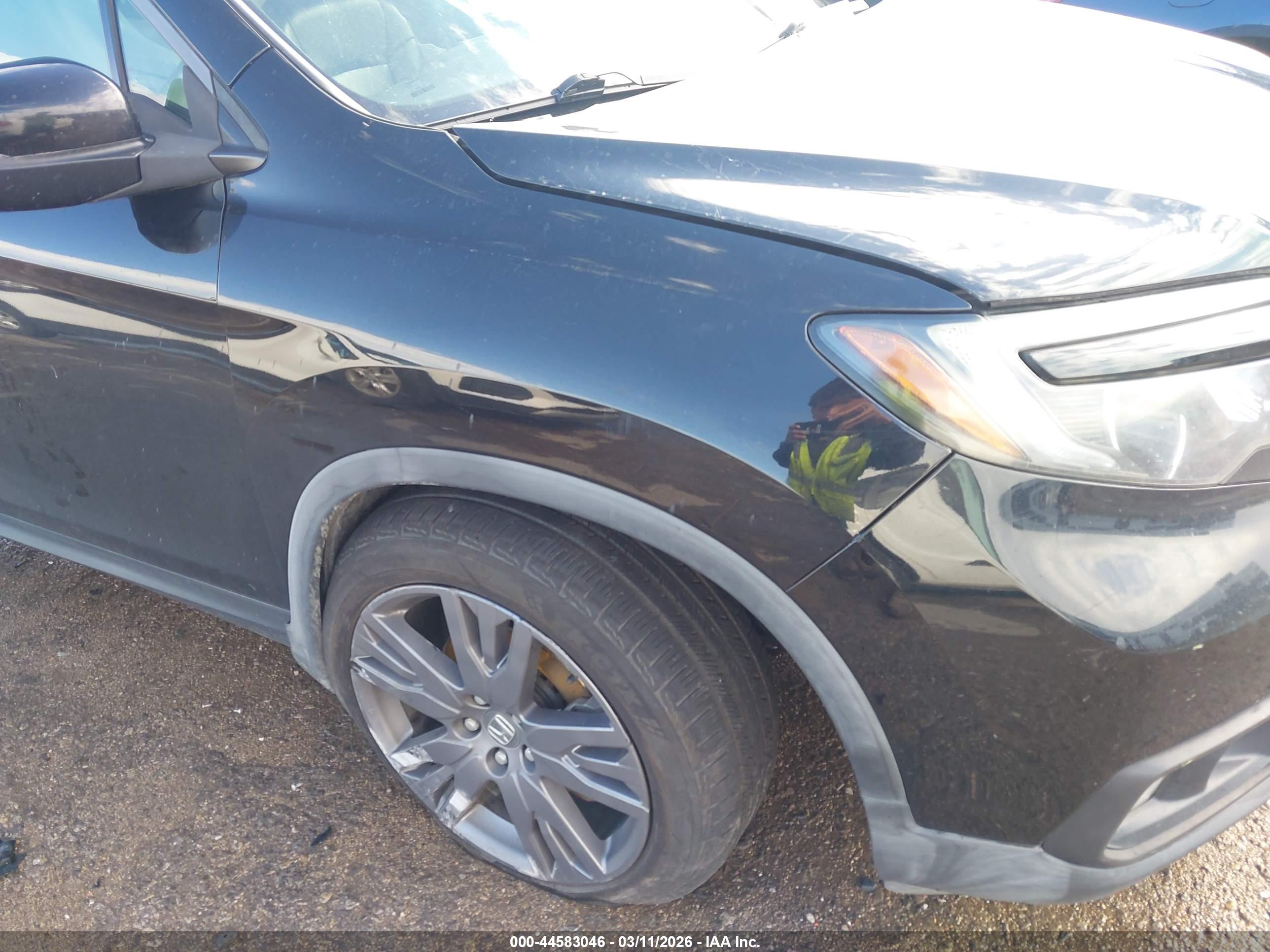 HONDA PASSPORT image 6