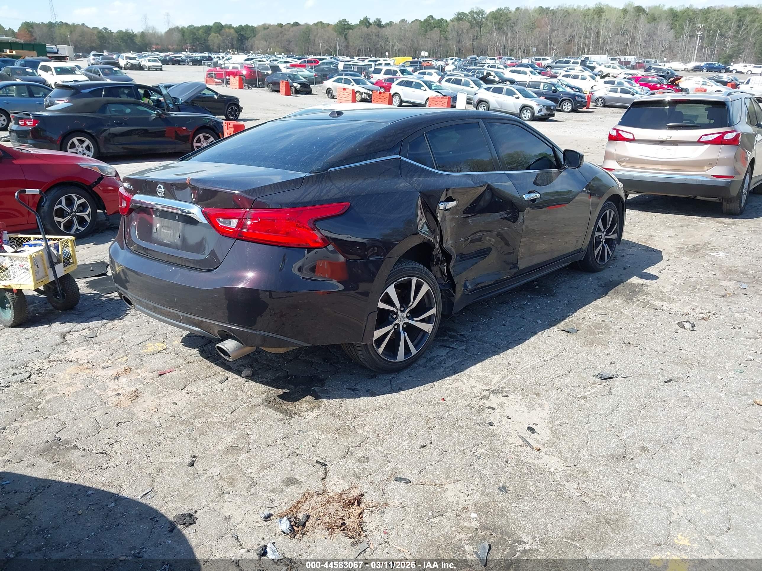 NISSAN MAXIMA image 4