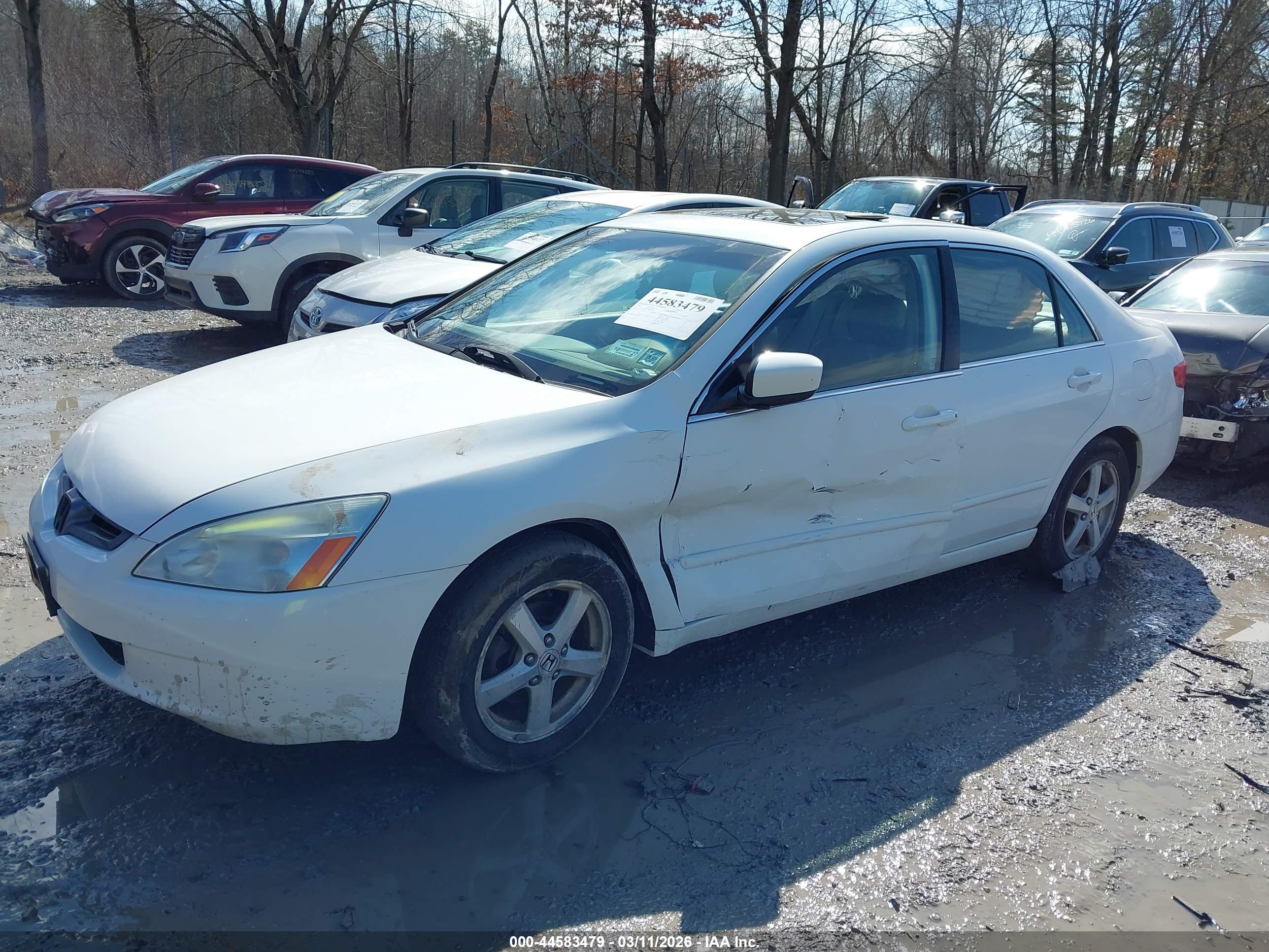 HONDA ACCORD image 6