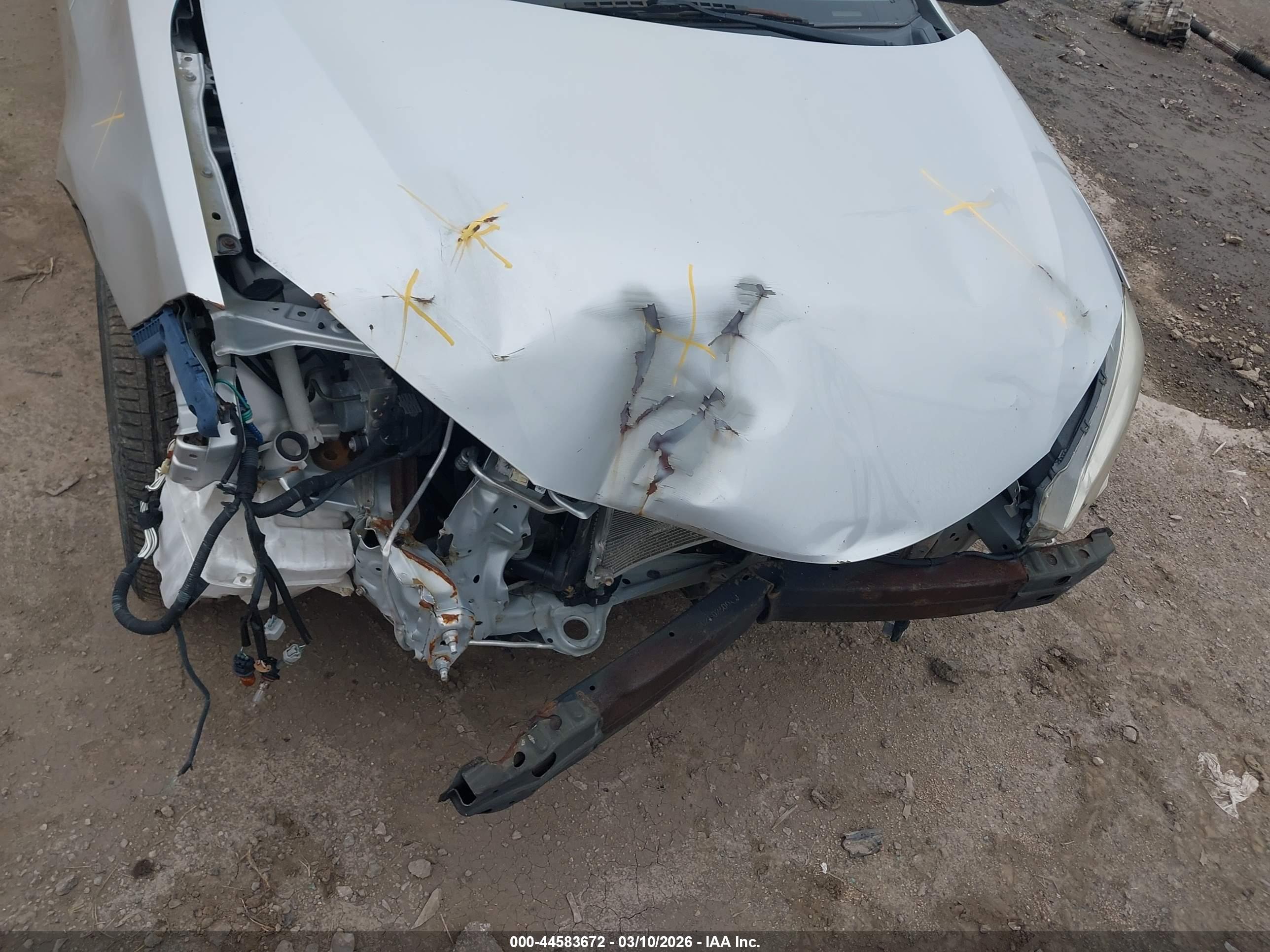 TOYOTA COROLLA image 6