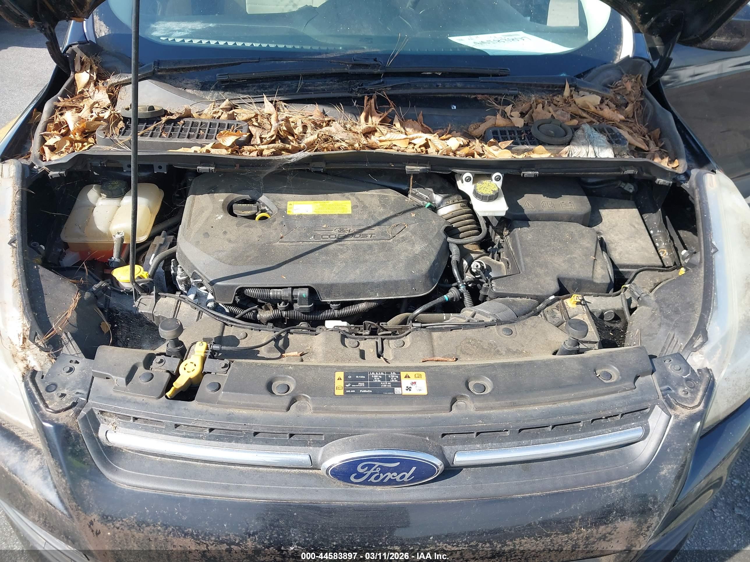 FORD ESCAPE image 10