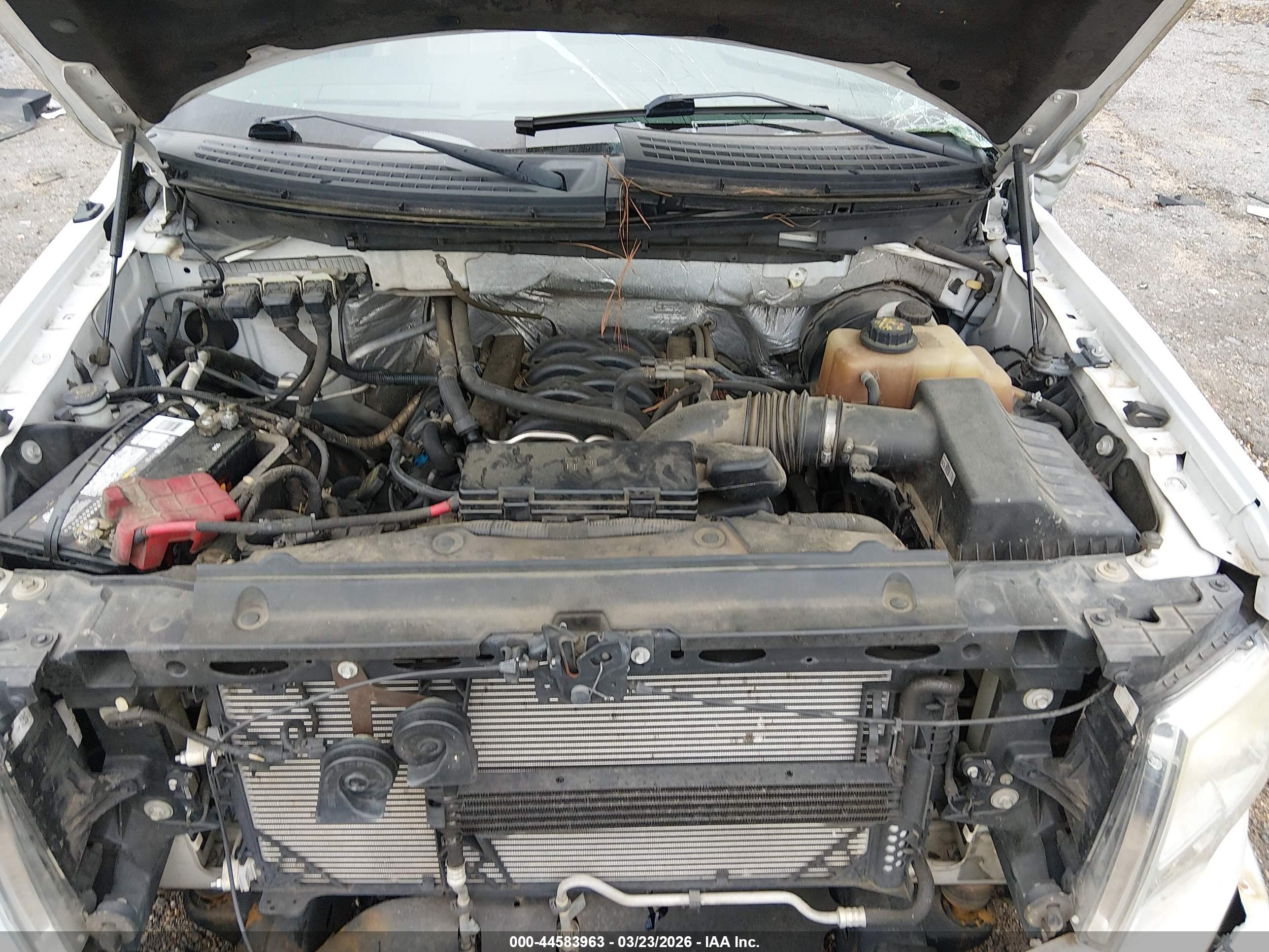 FORD F-150 image 10