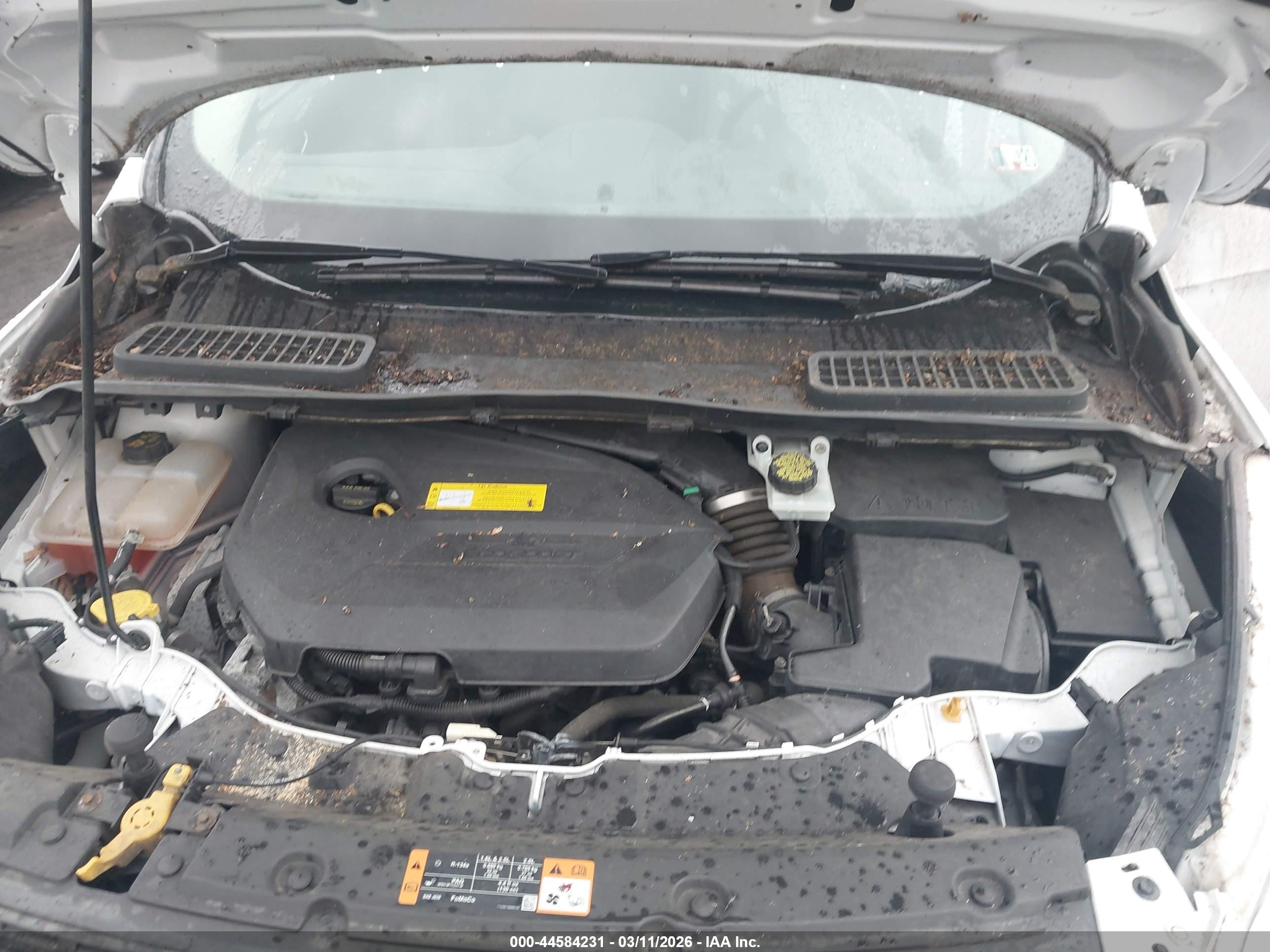 FORD ESCAPE image 10
