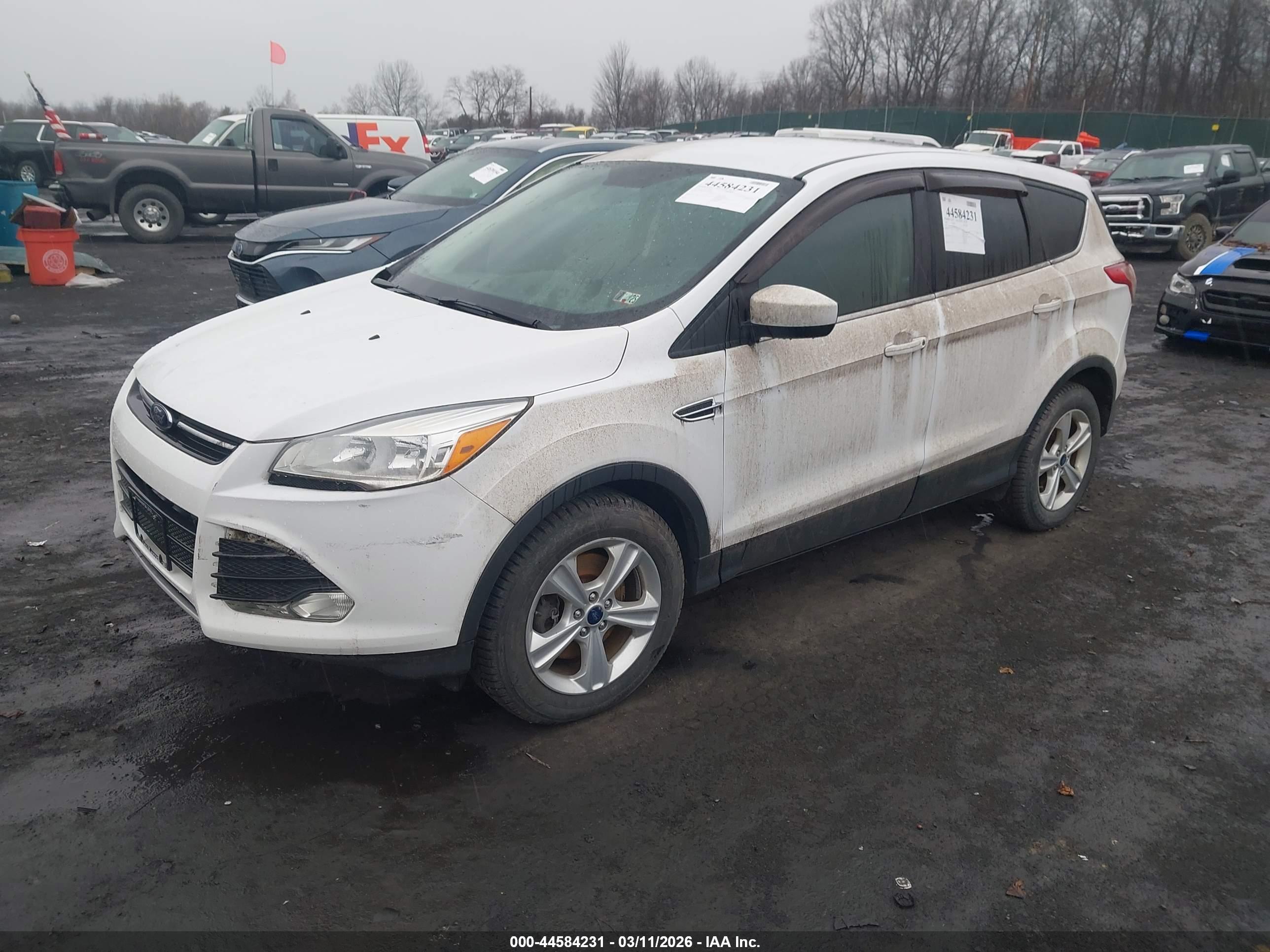 FORD ESCAPE image 2