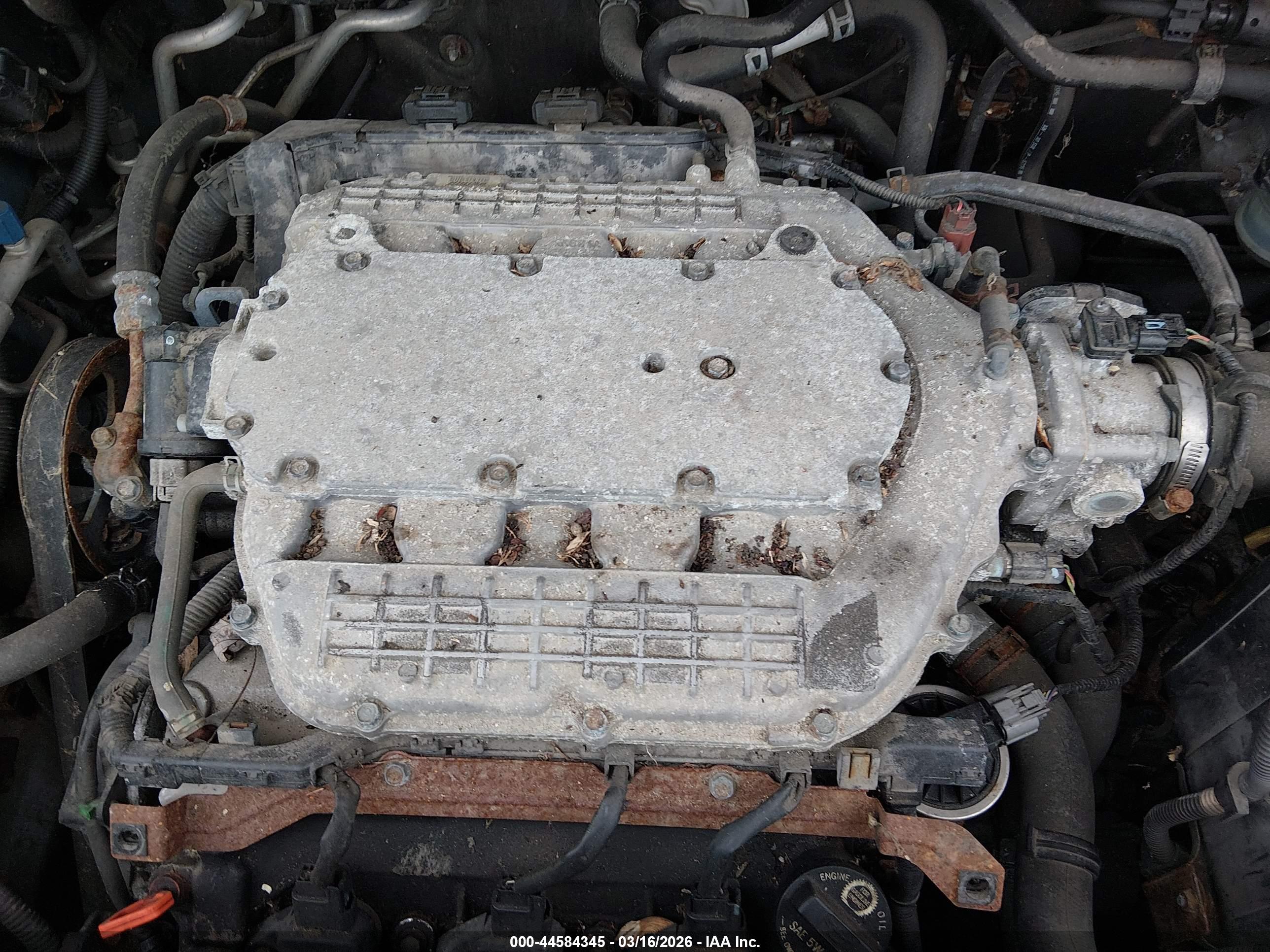 HONDA ODYSSEY image 6