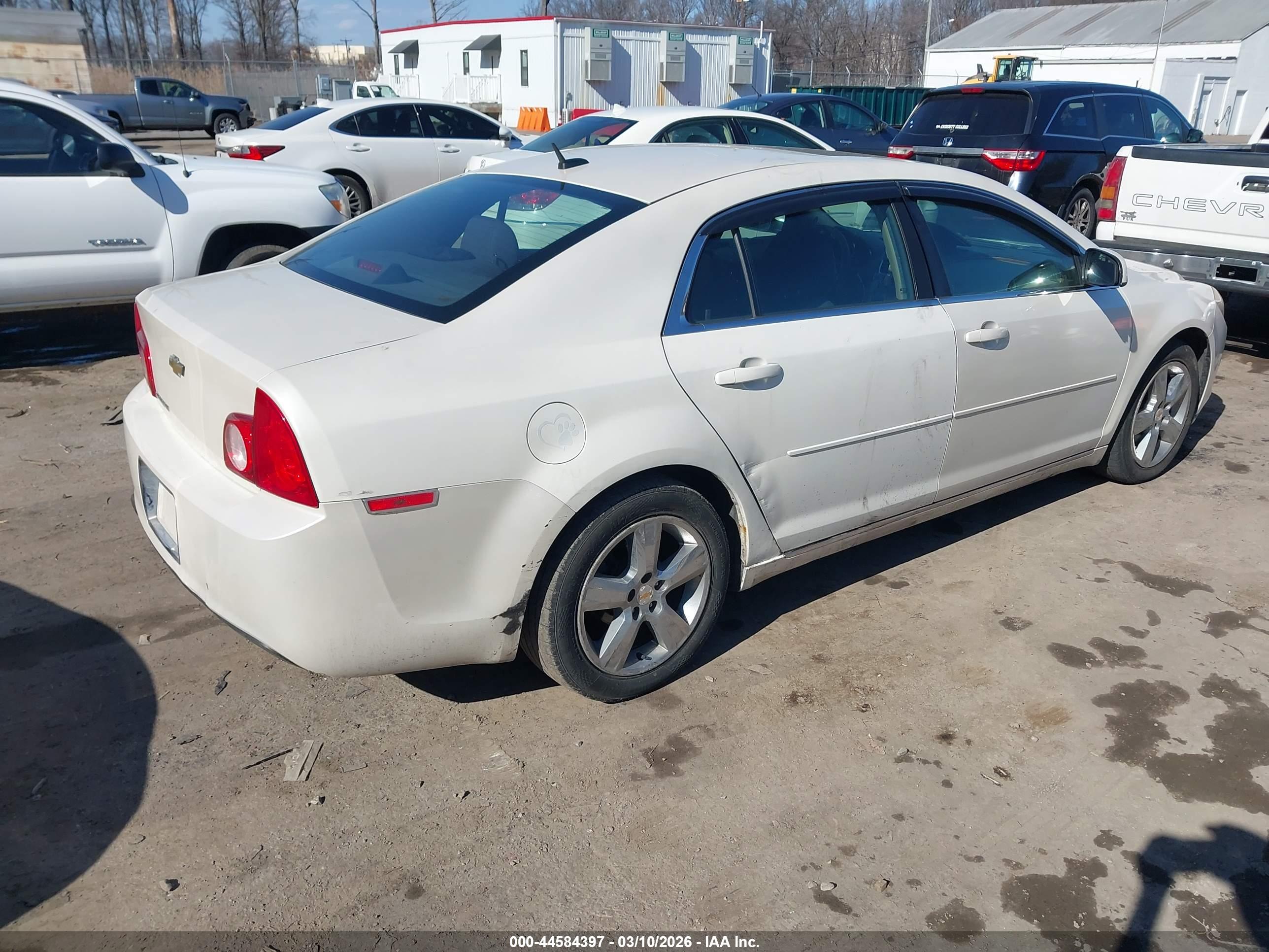 CHEVROLET MALIBU image 4