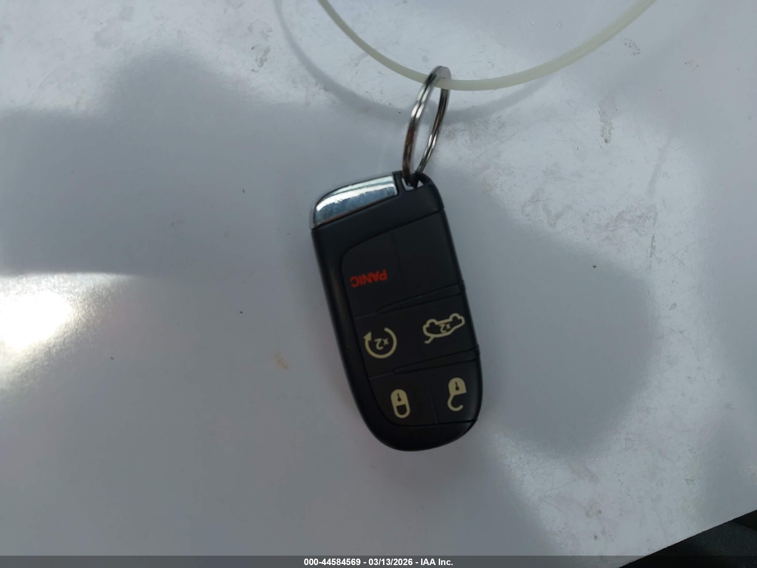 DODGE HORNET image 11