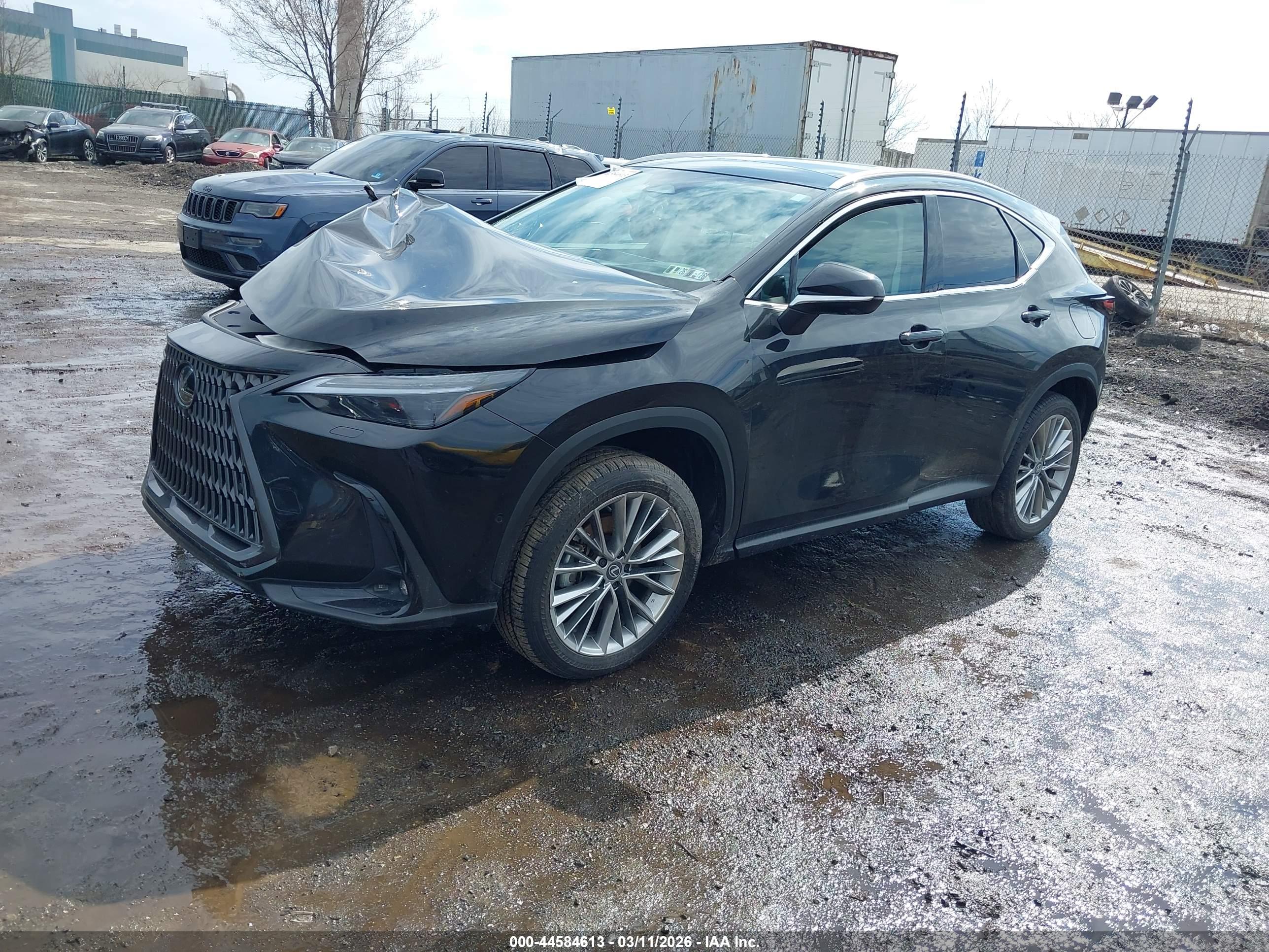 LEXUS NX image 2