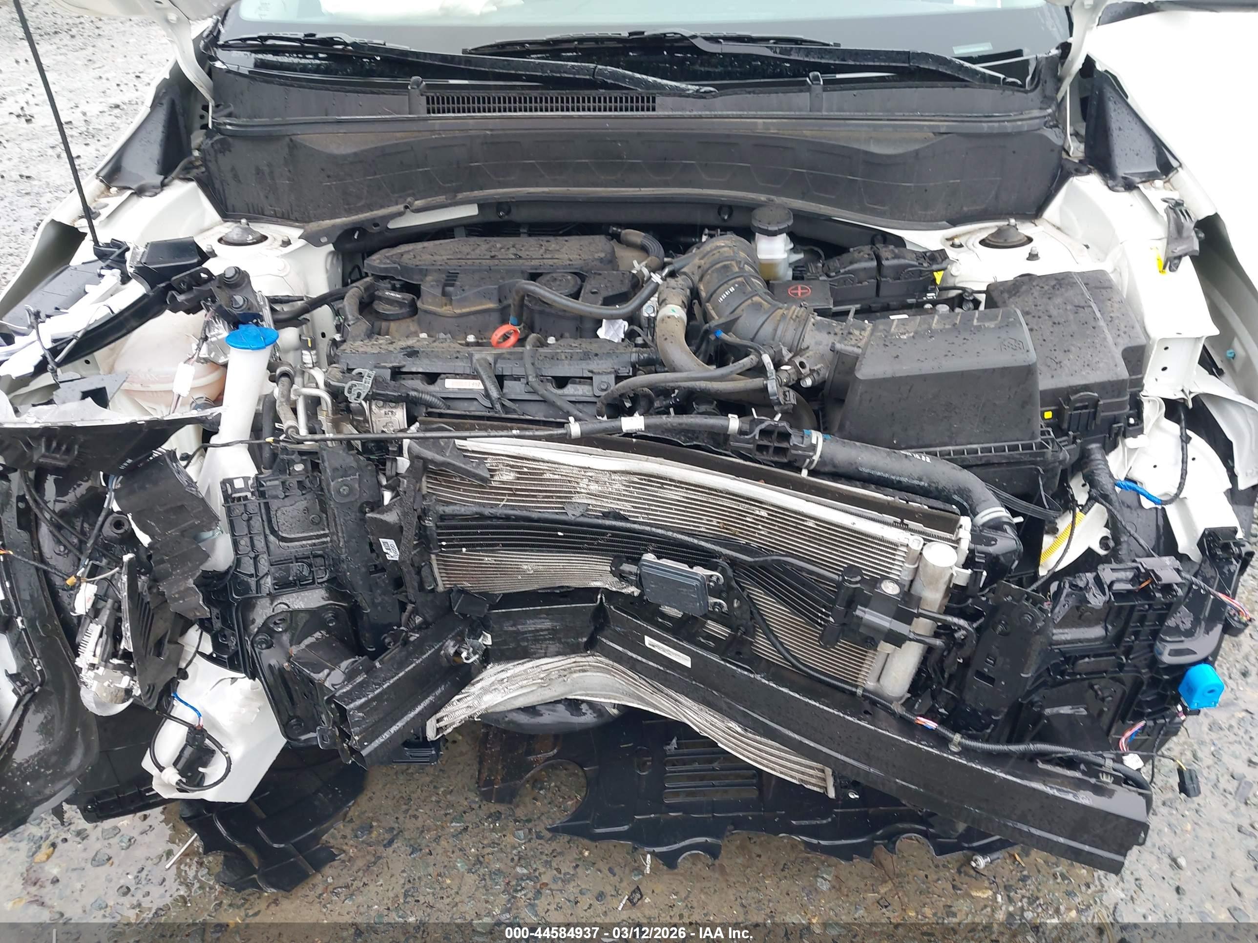 KIA SELTOS image 10