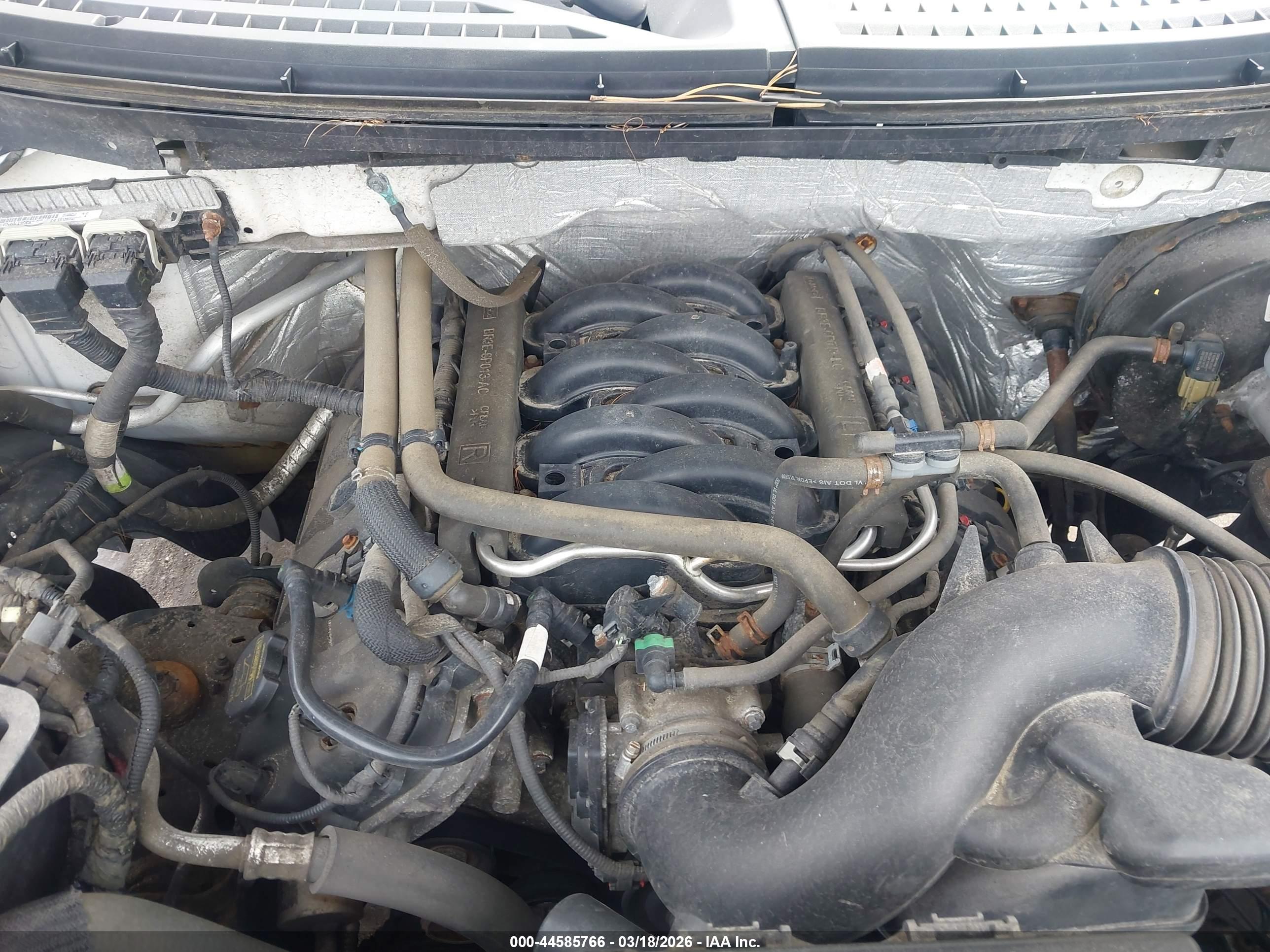 FORD F-150 image 10