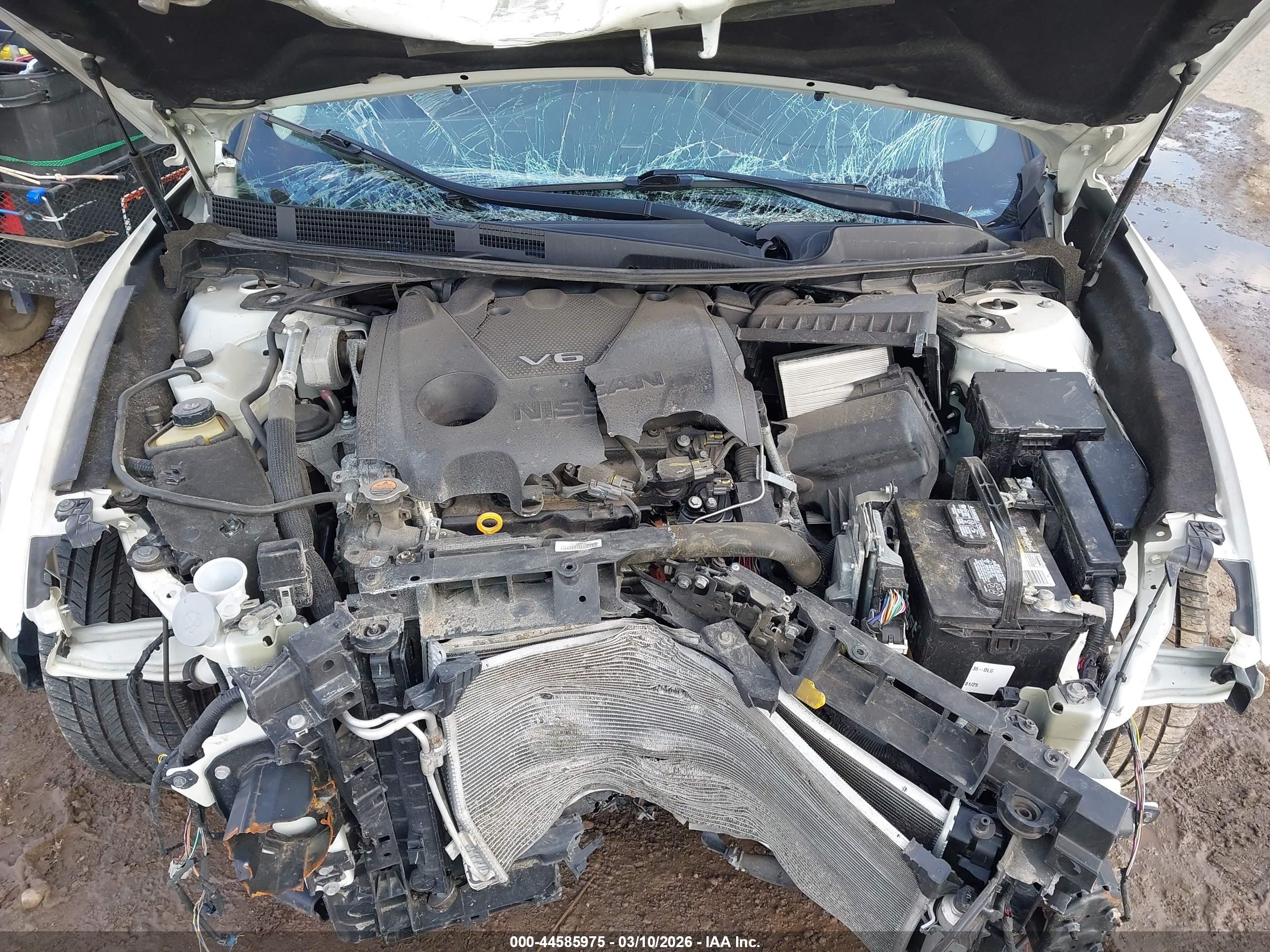NISSAN MAXIMA image 10