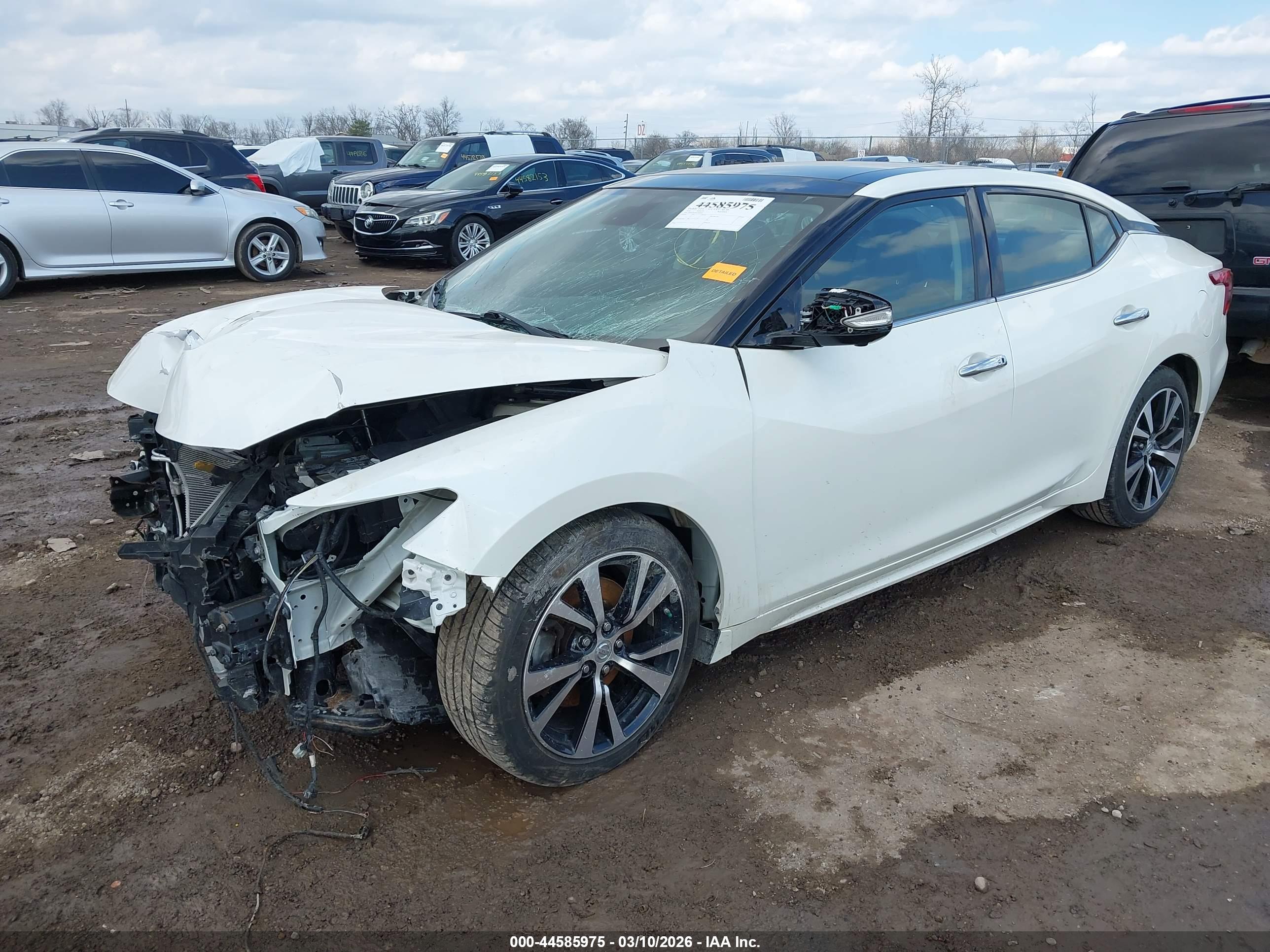 NISSAN MAXIMA image 2