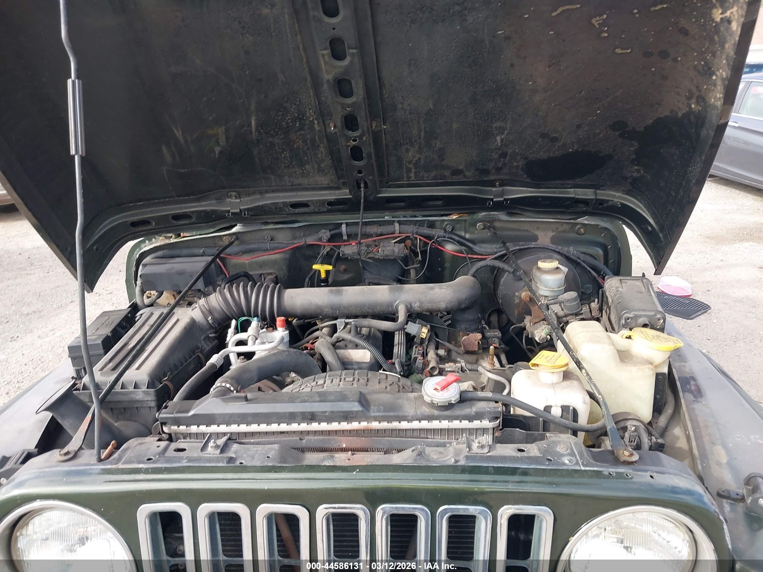 JEEP WRANGLER image 10