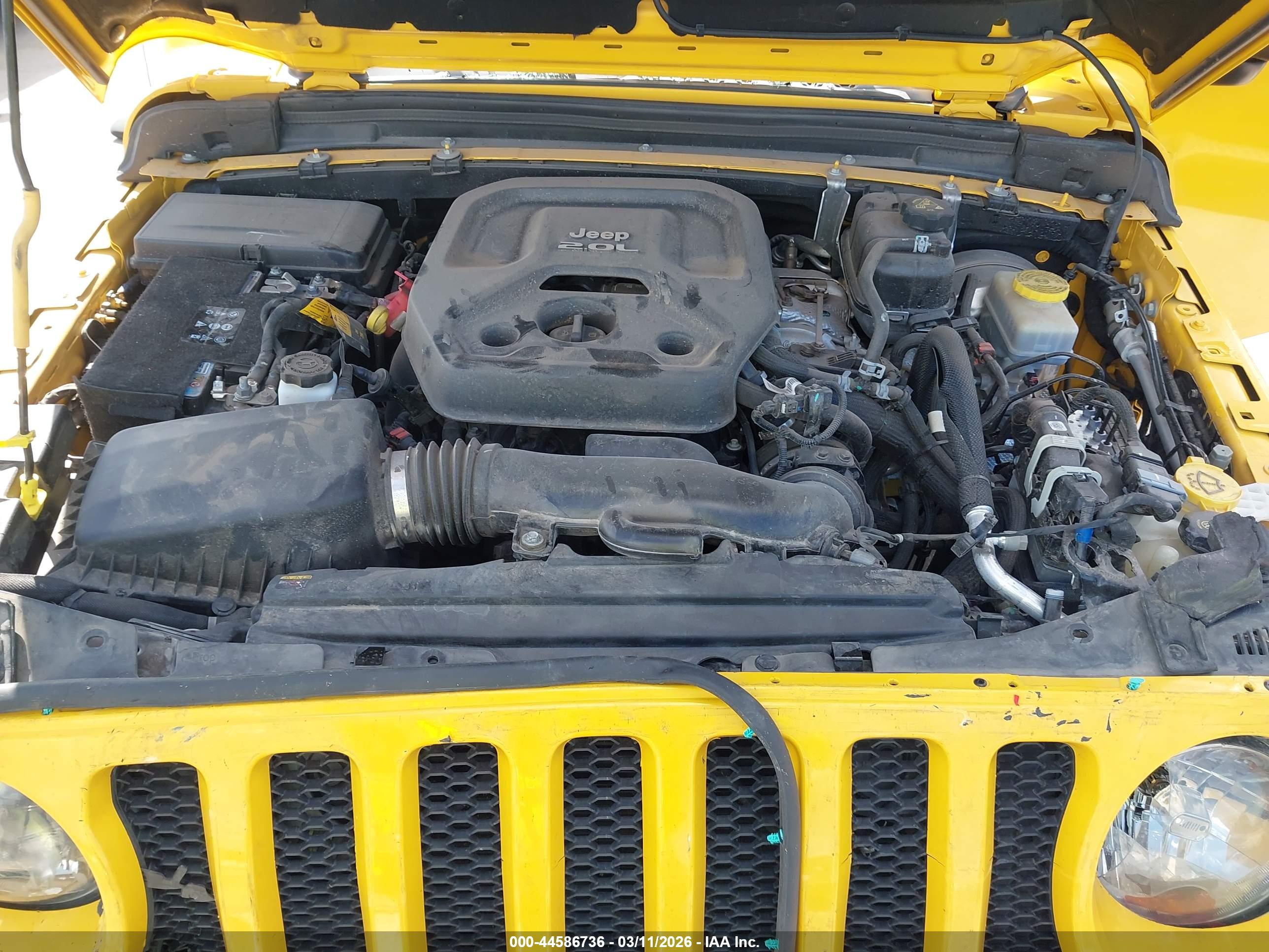 JEEP WRANGLER image 10