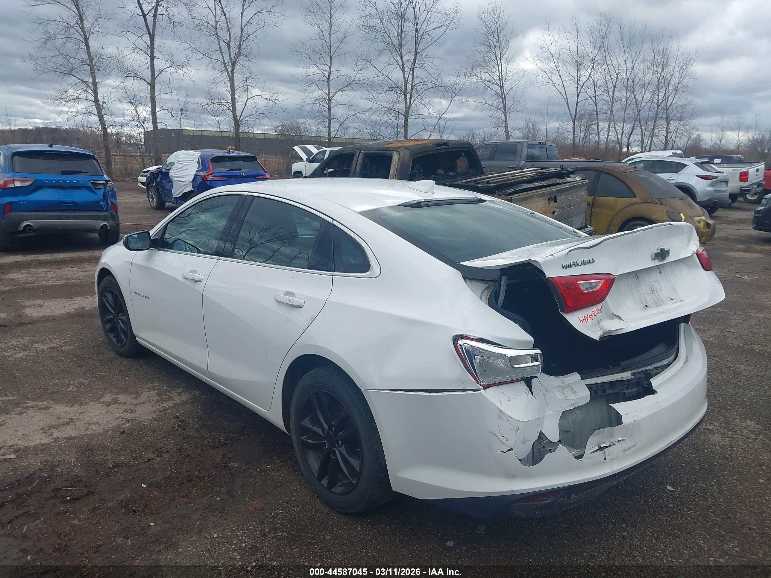 CHEVROLET MALIBU image 3