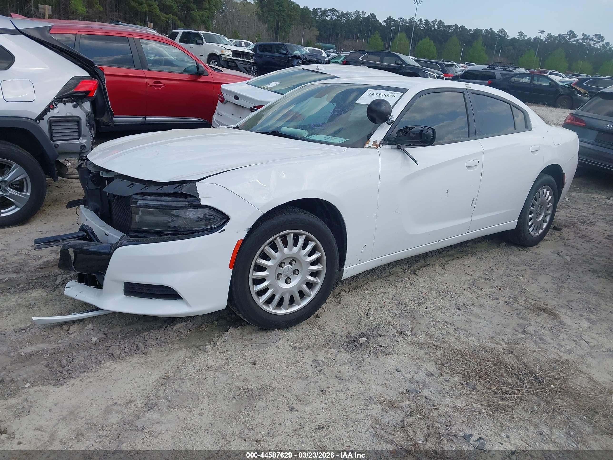 DODGE CHARGER image 2