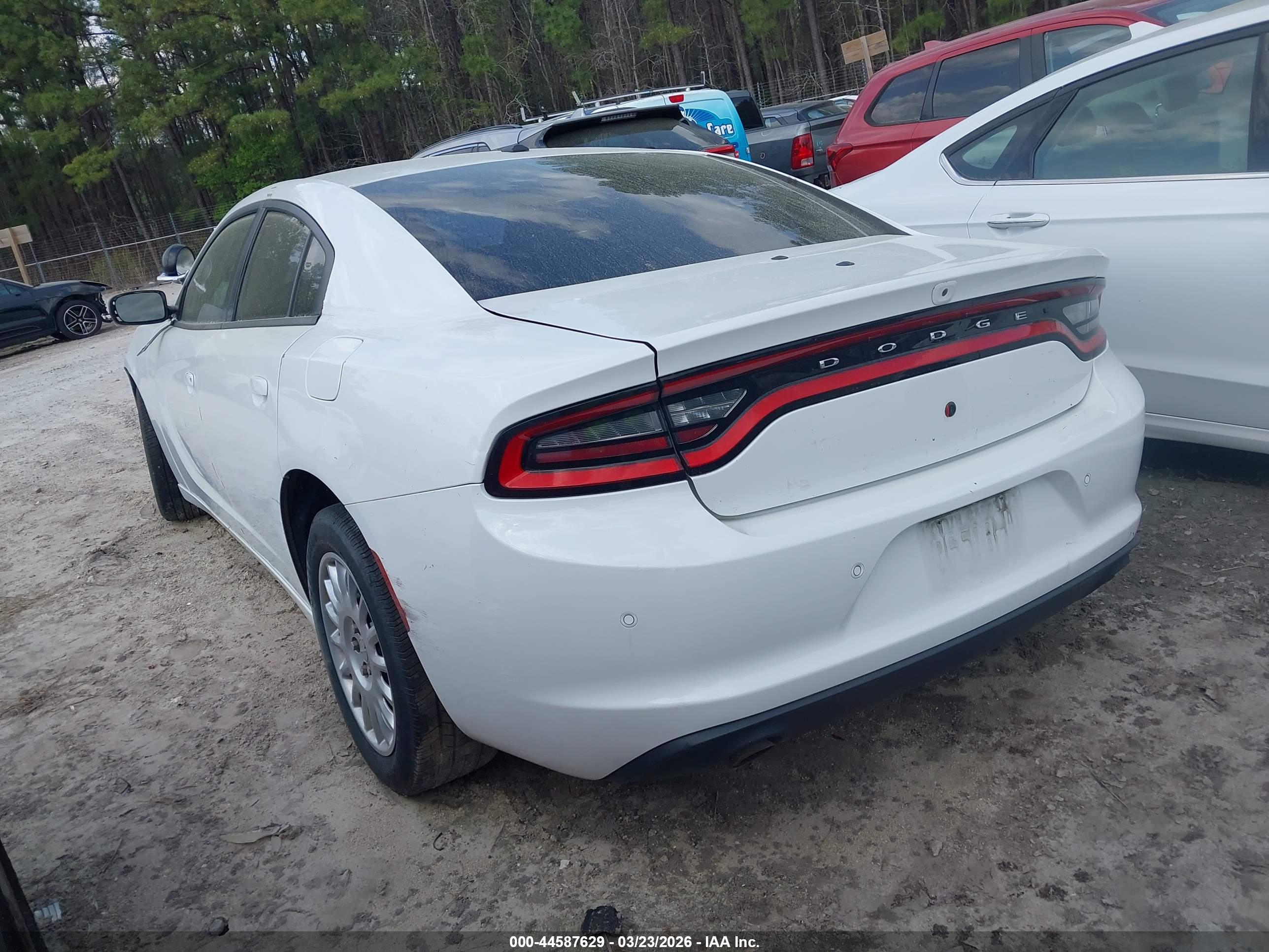 DODGE CHARGER image 3