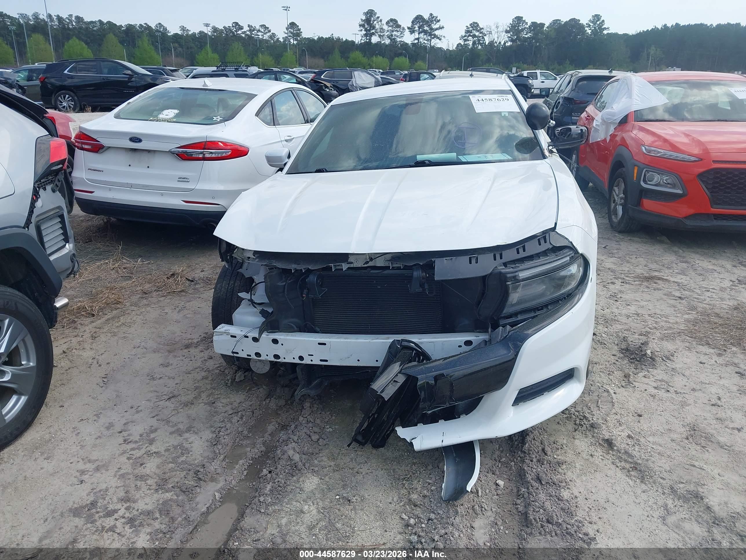 DODGE CHARGER image 6