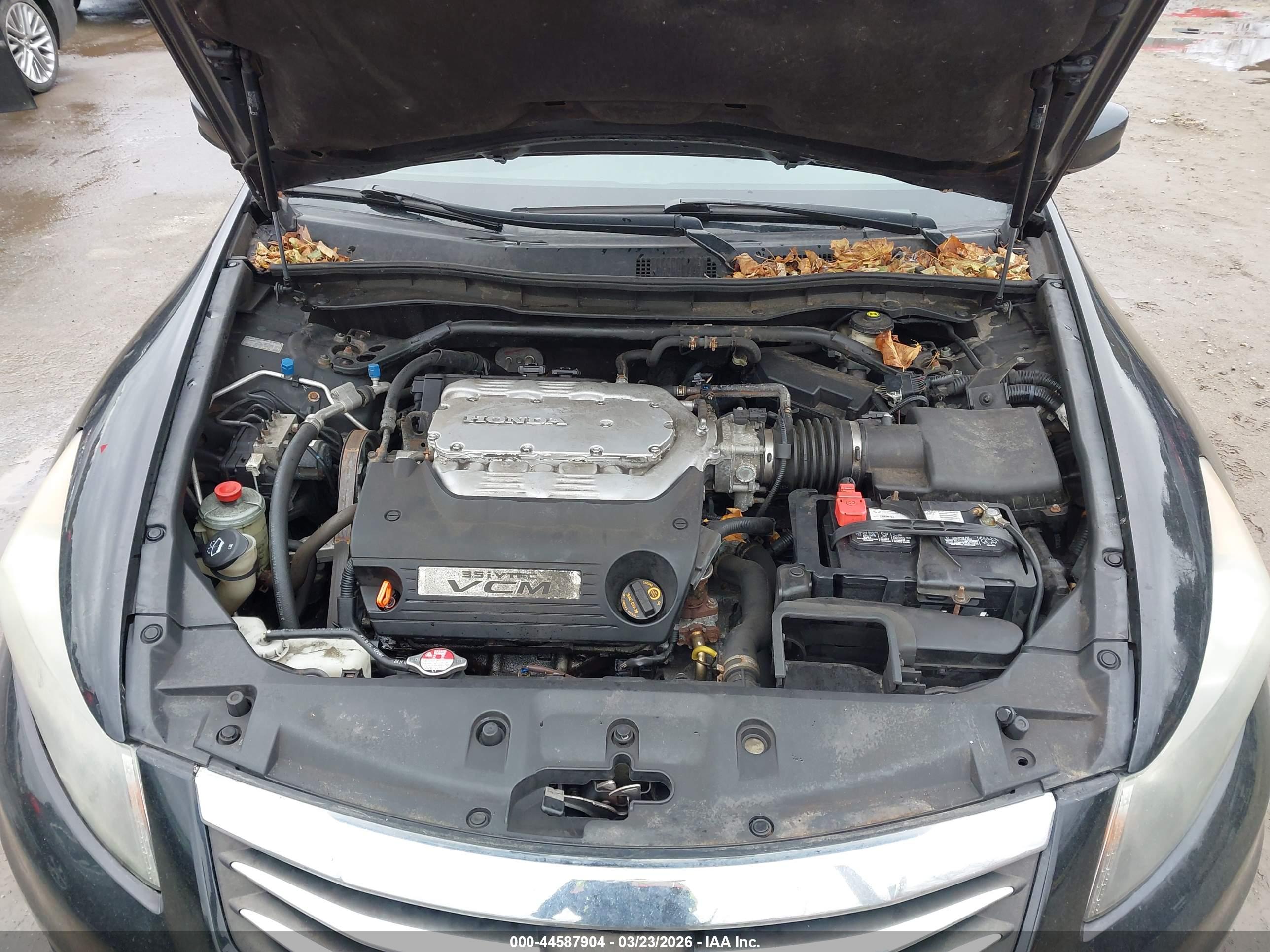 HONDA ACCORD image 10