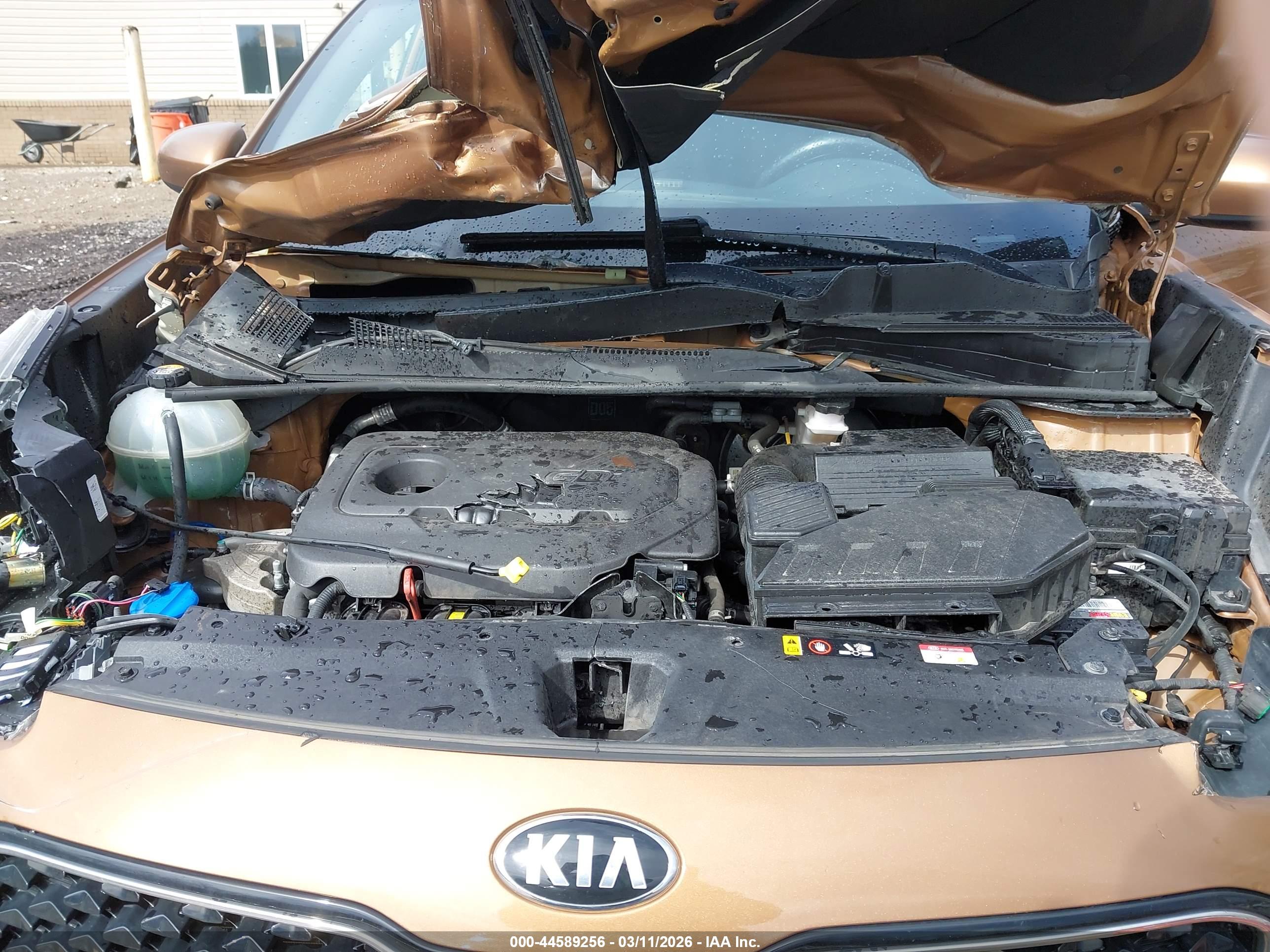 KIA SPORTAGE image 10