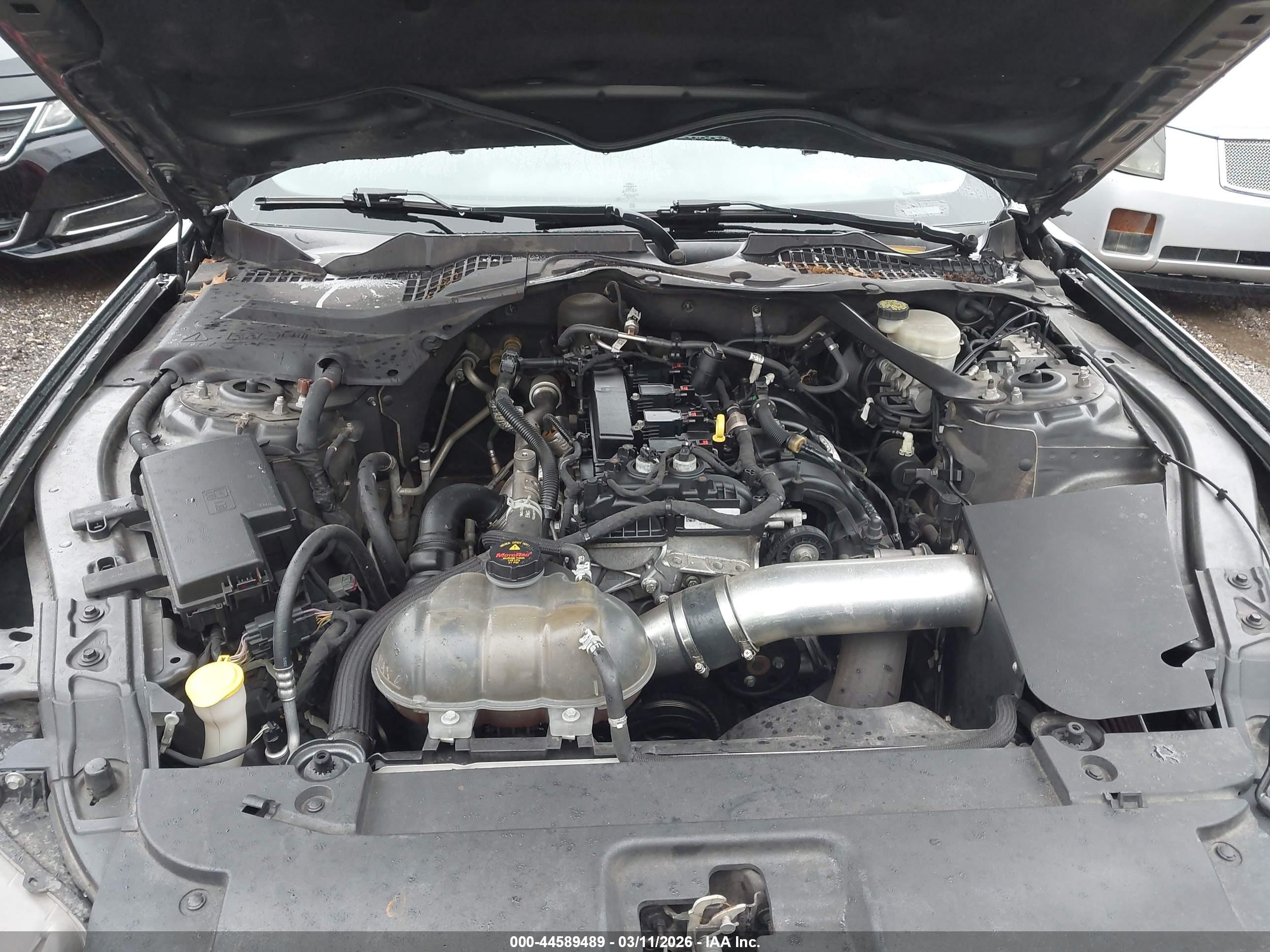 FORD MUSTANG image 10