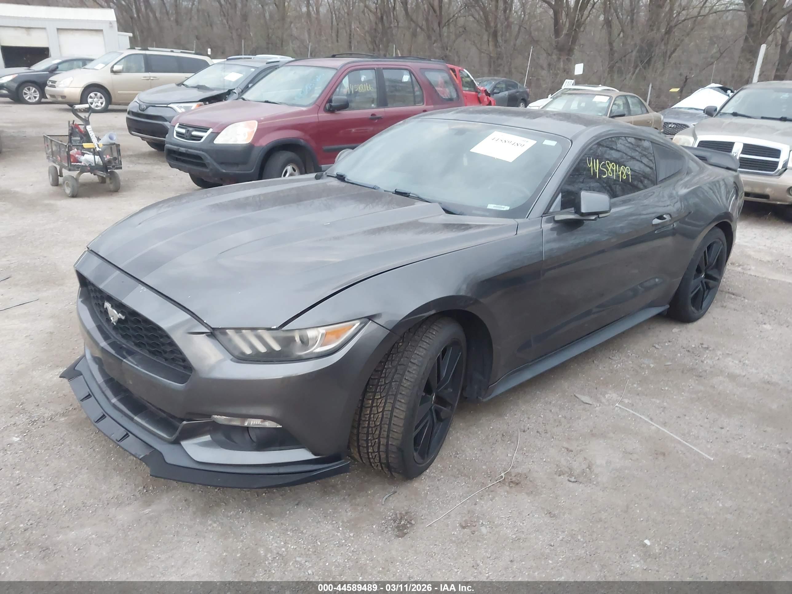 FORD MUSTANG image 2