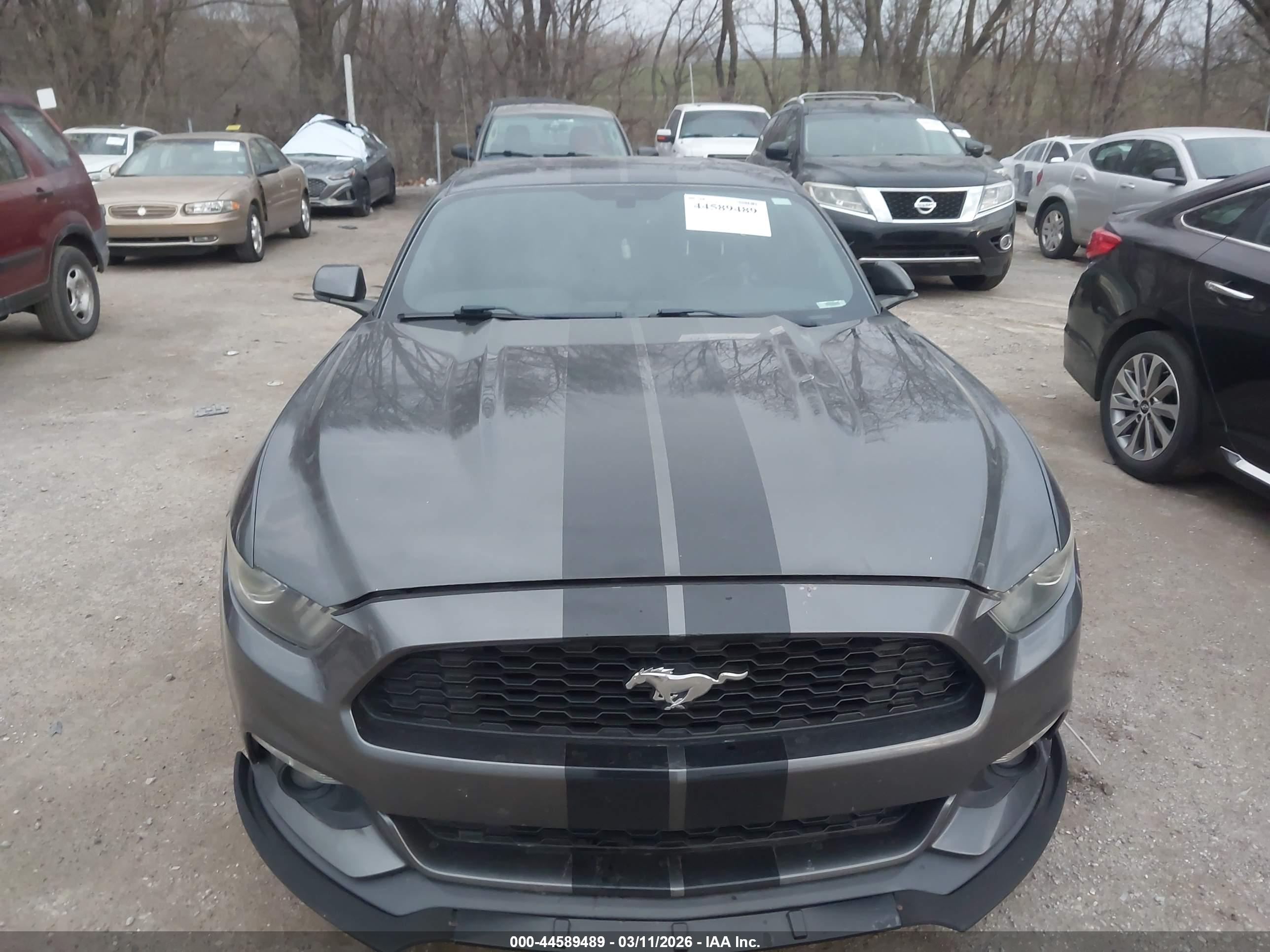 FORD MUSTANG image 6
