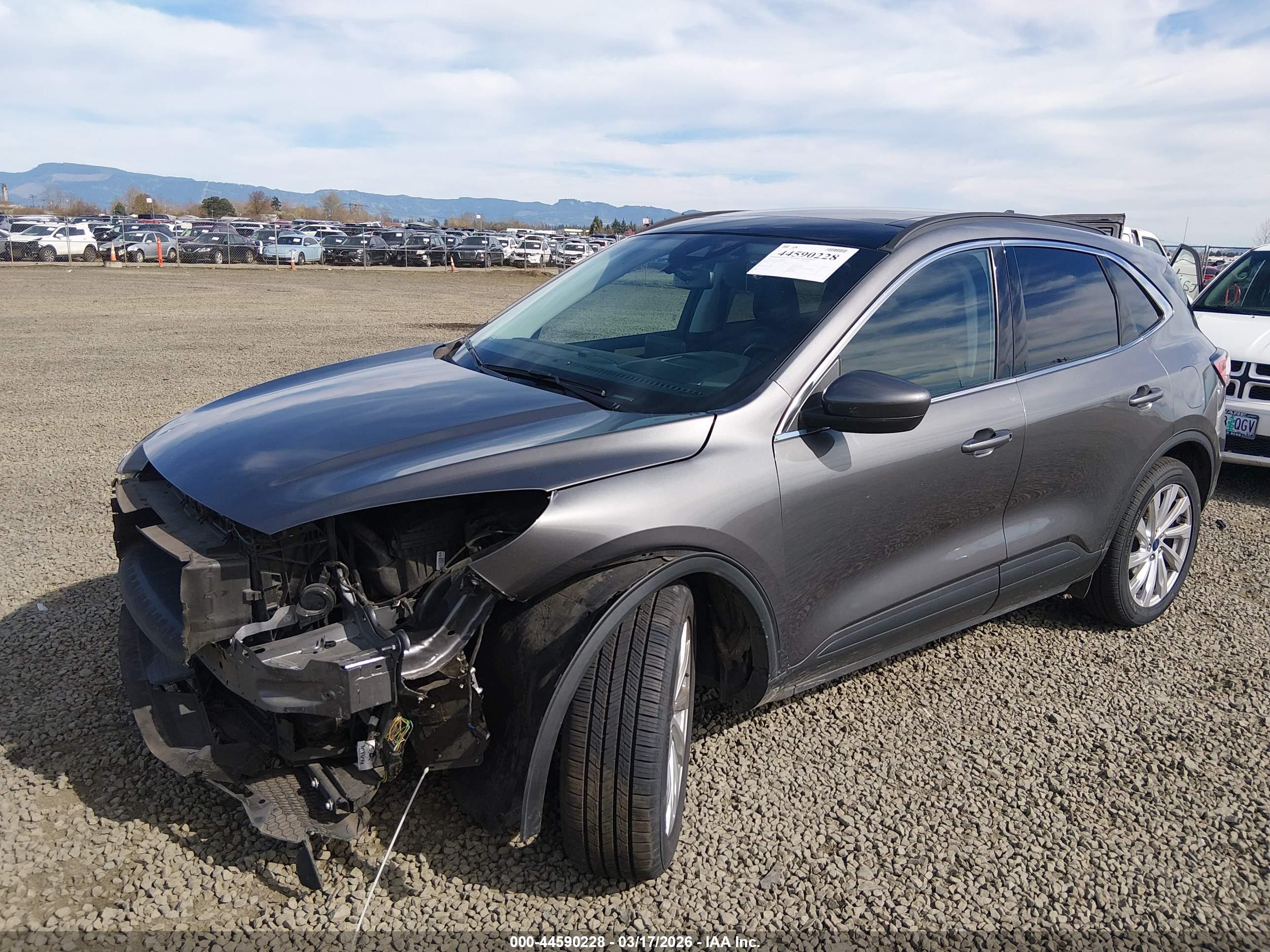 FORD ESCAPE image 2
