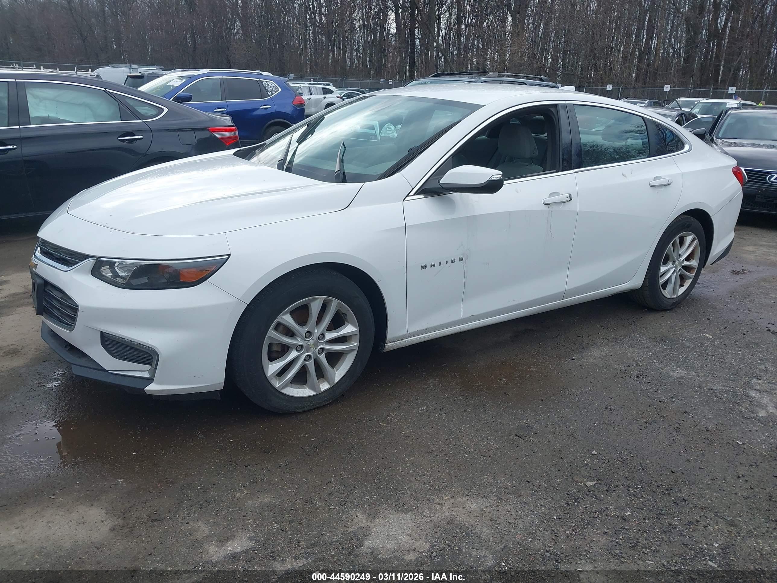 CHEVROLET MALIBU image 2