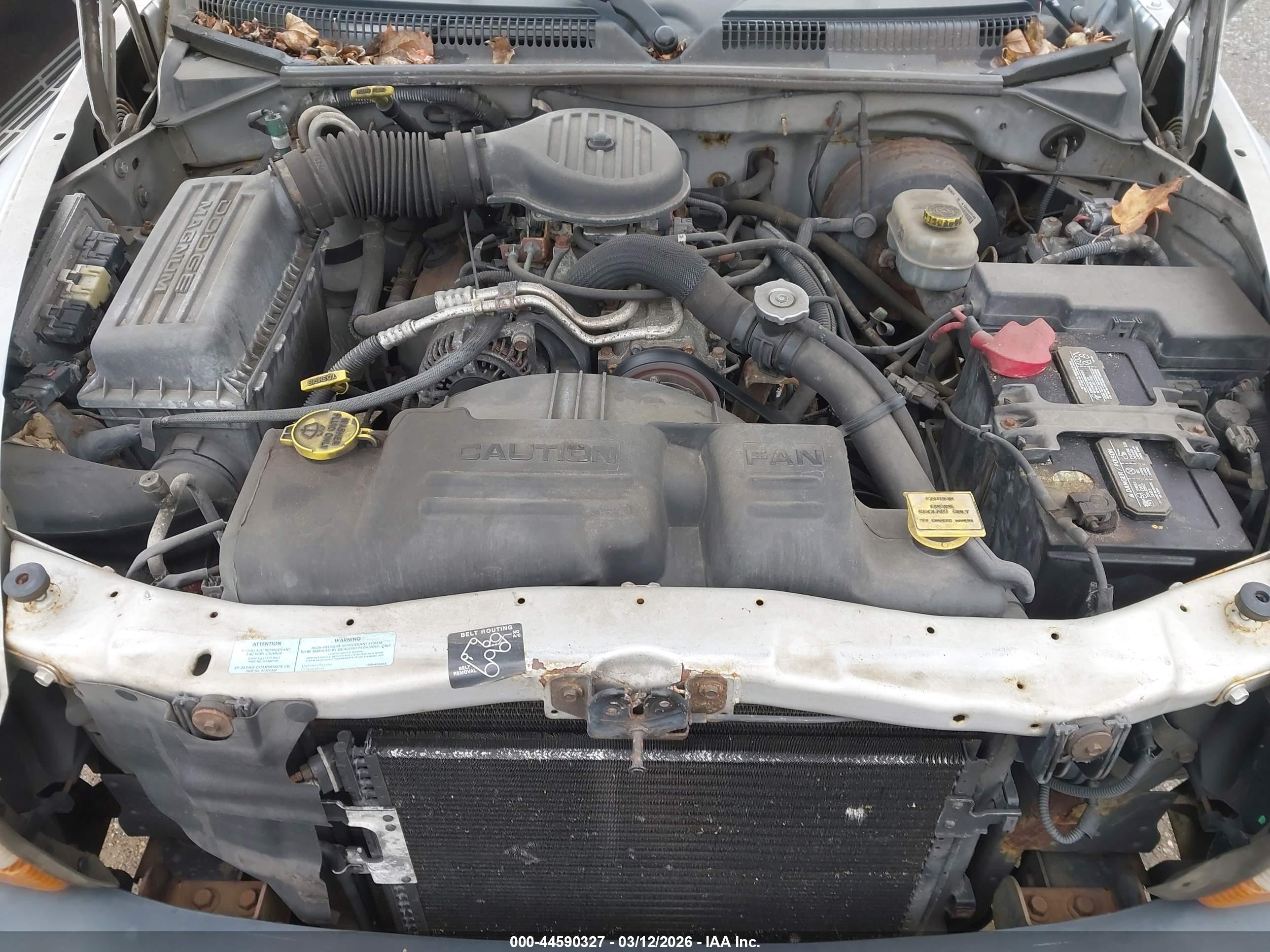 DODGE DAKOTA image 10