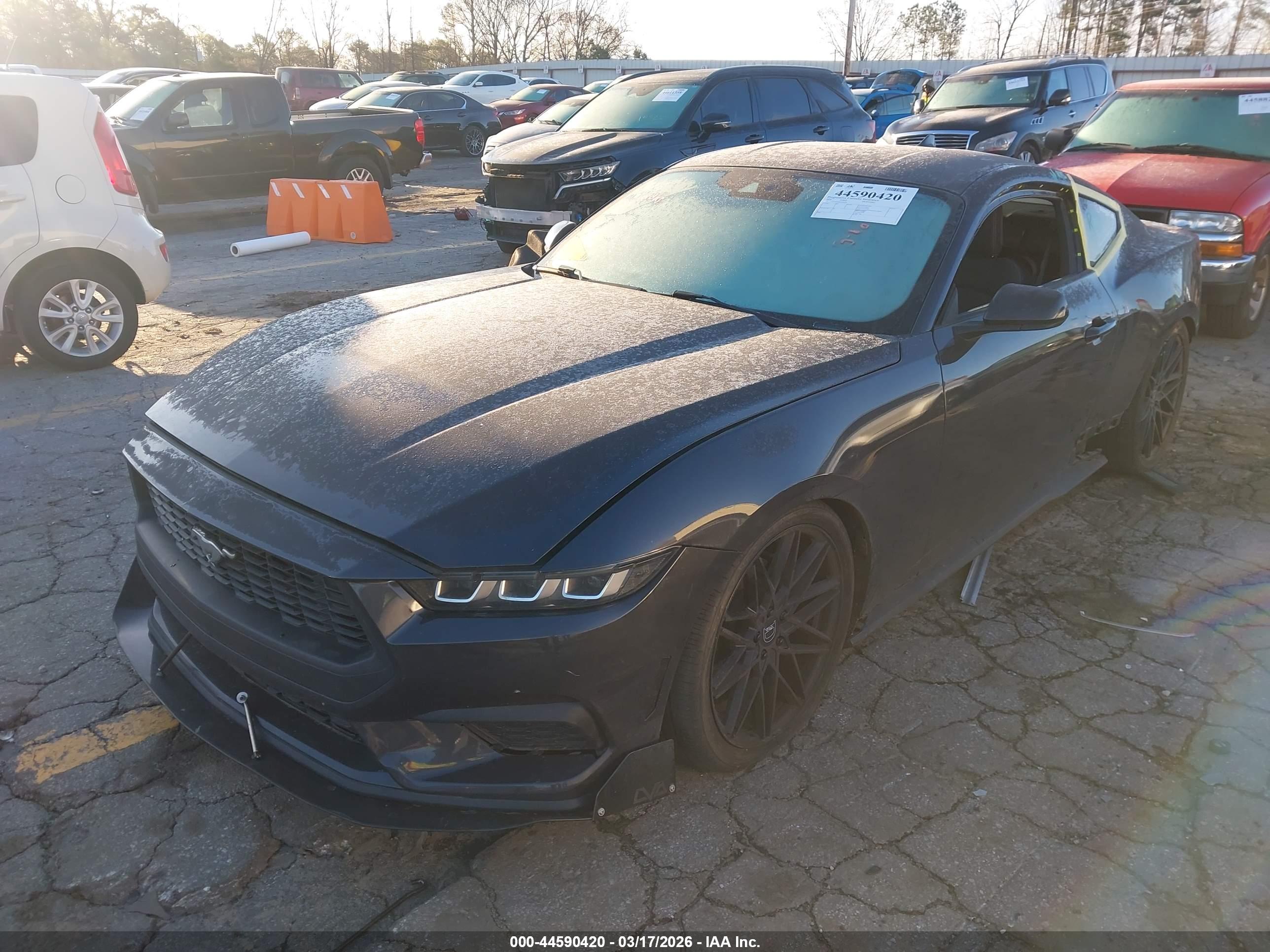 FORD MUSTANG image 2