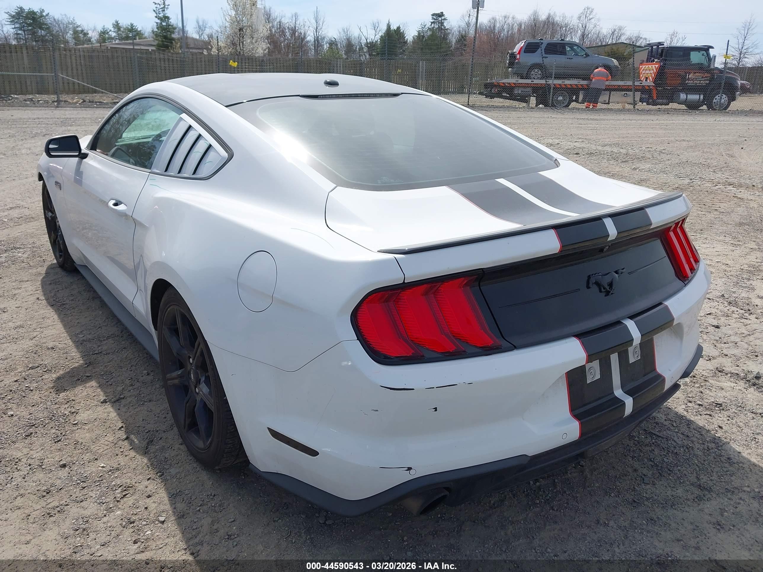 FORD MUSTANG image 3