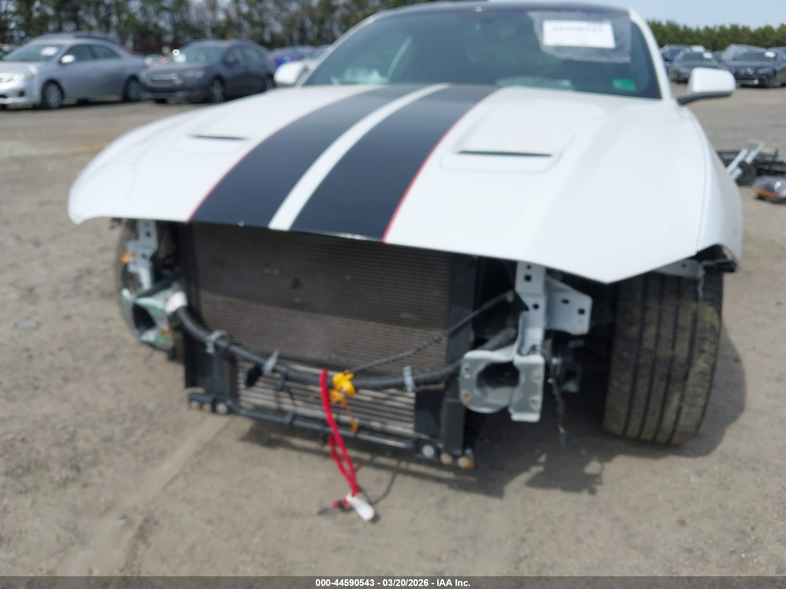 FORD MUSTANG image 6