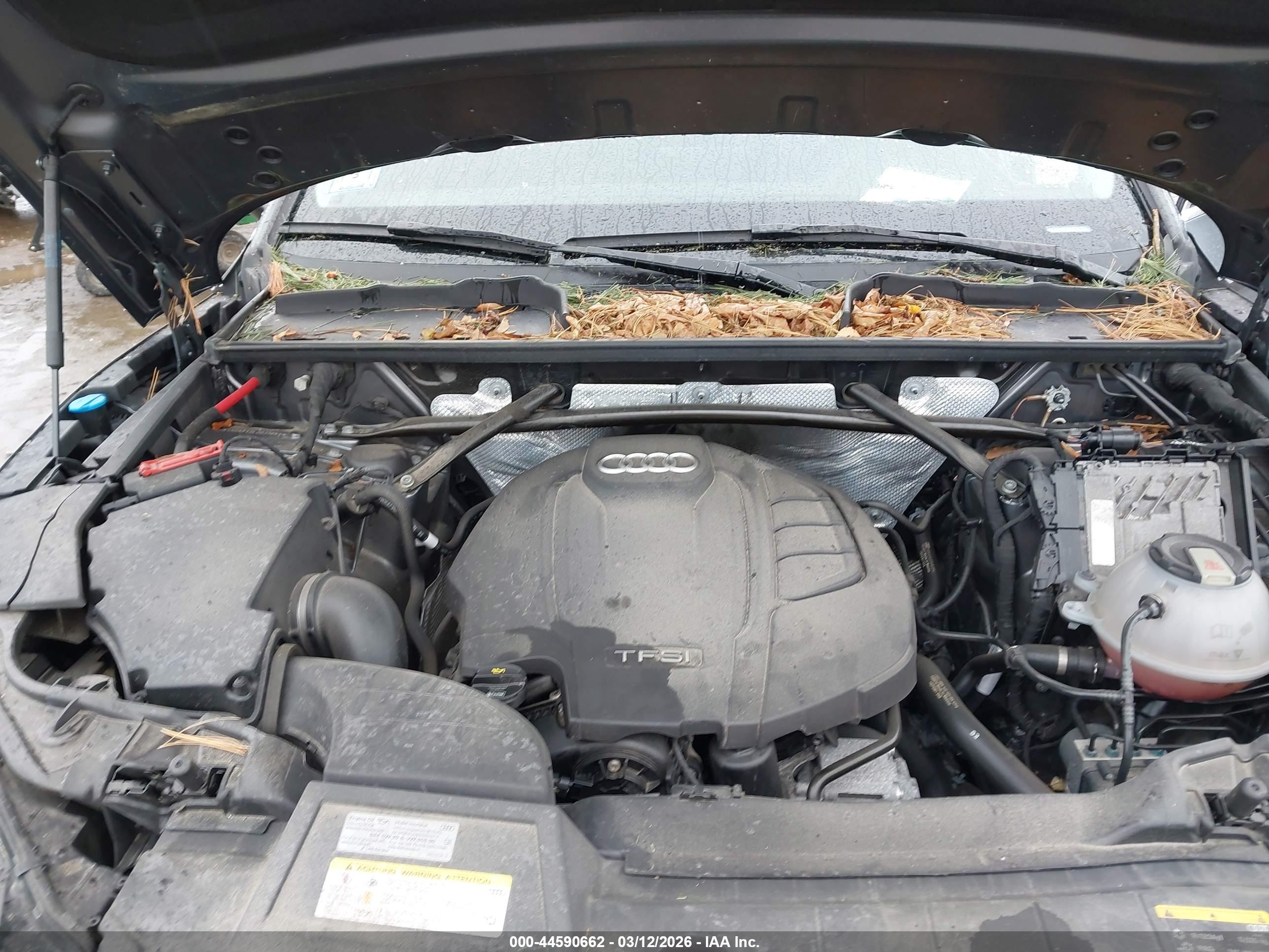 AUDI Q5 image 10
