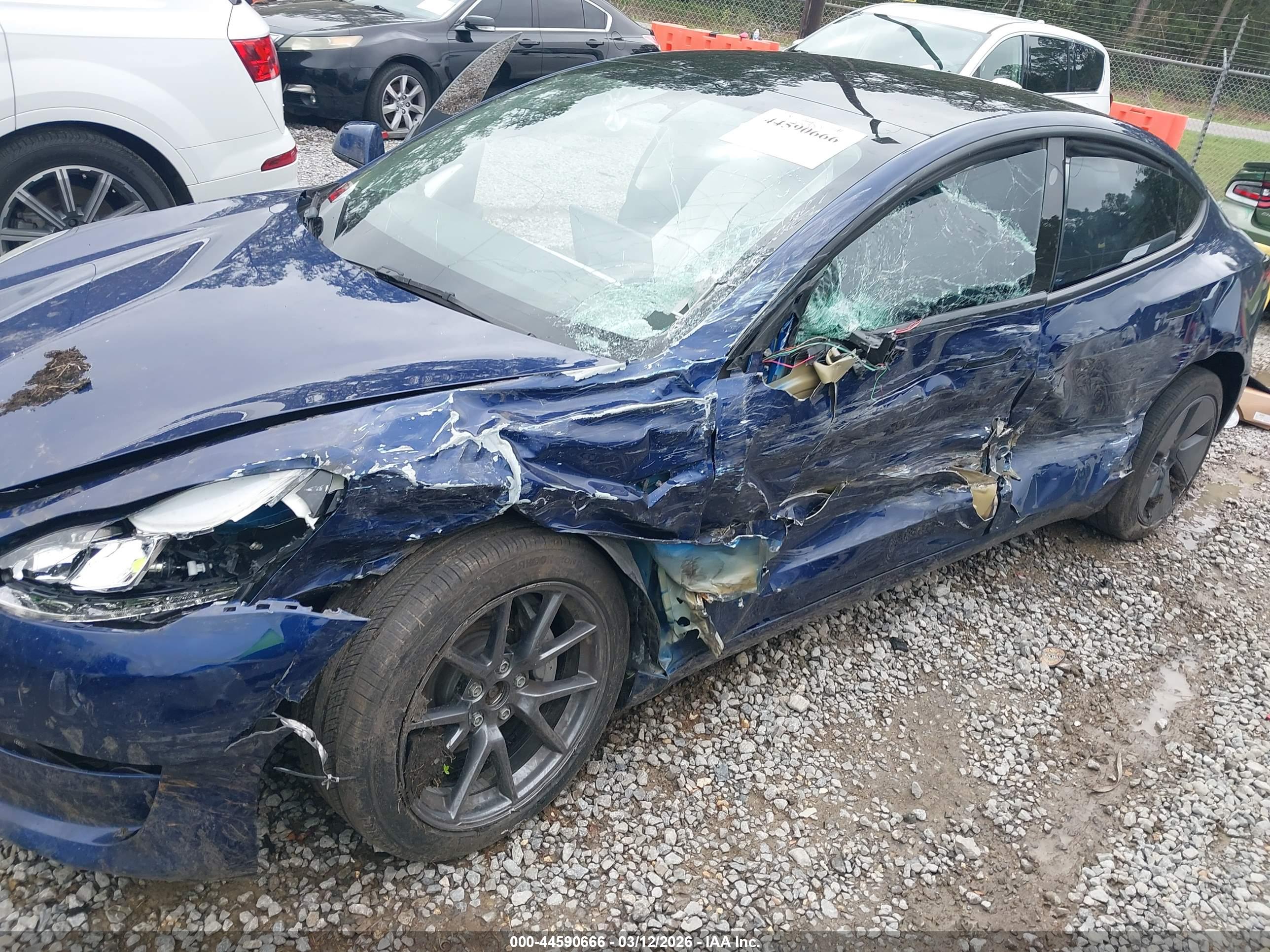 TESLA MODEL image 6