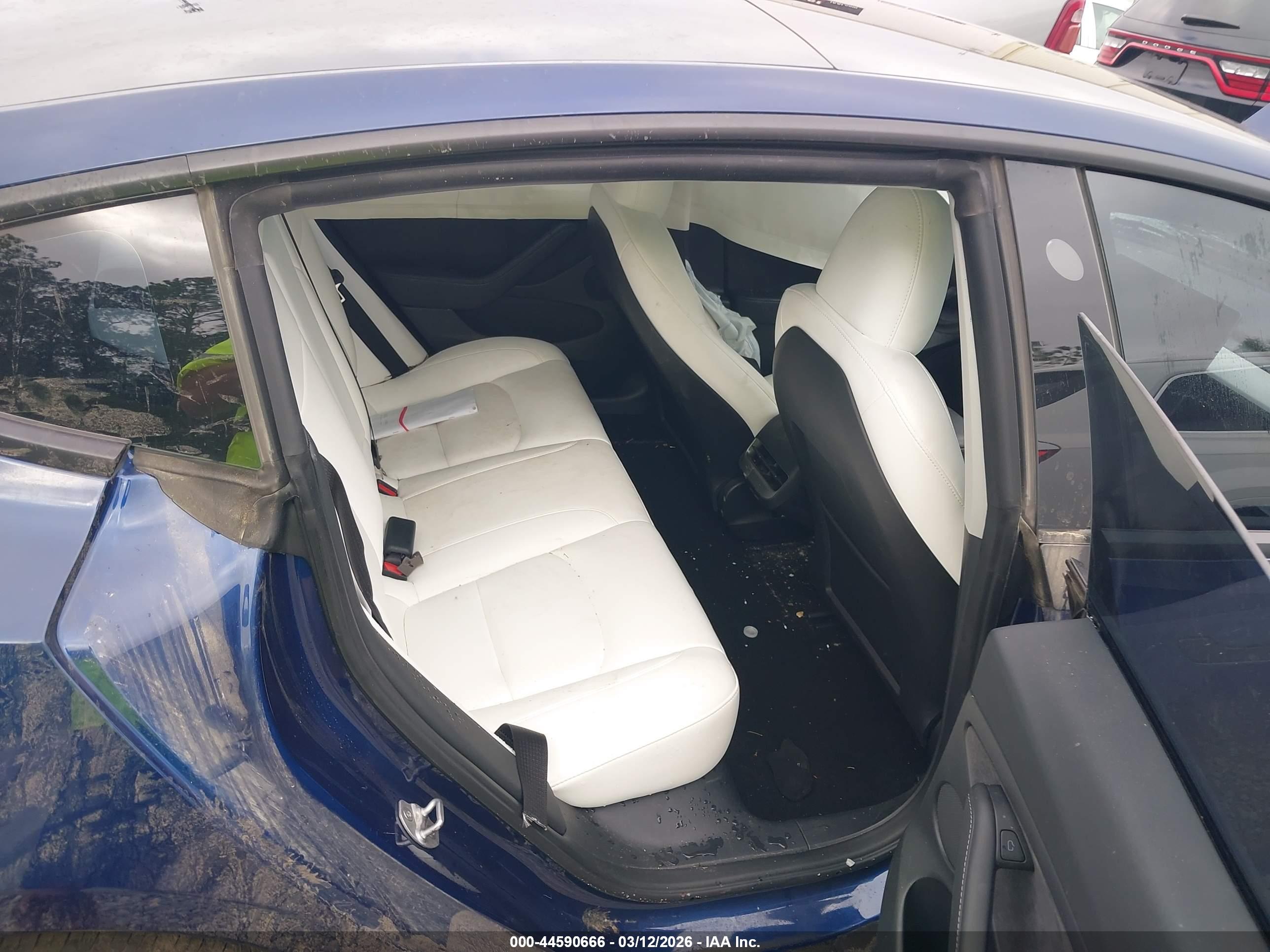 TESLA MODEL image 8
