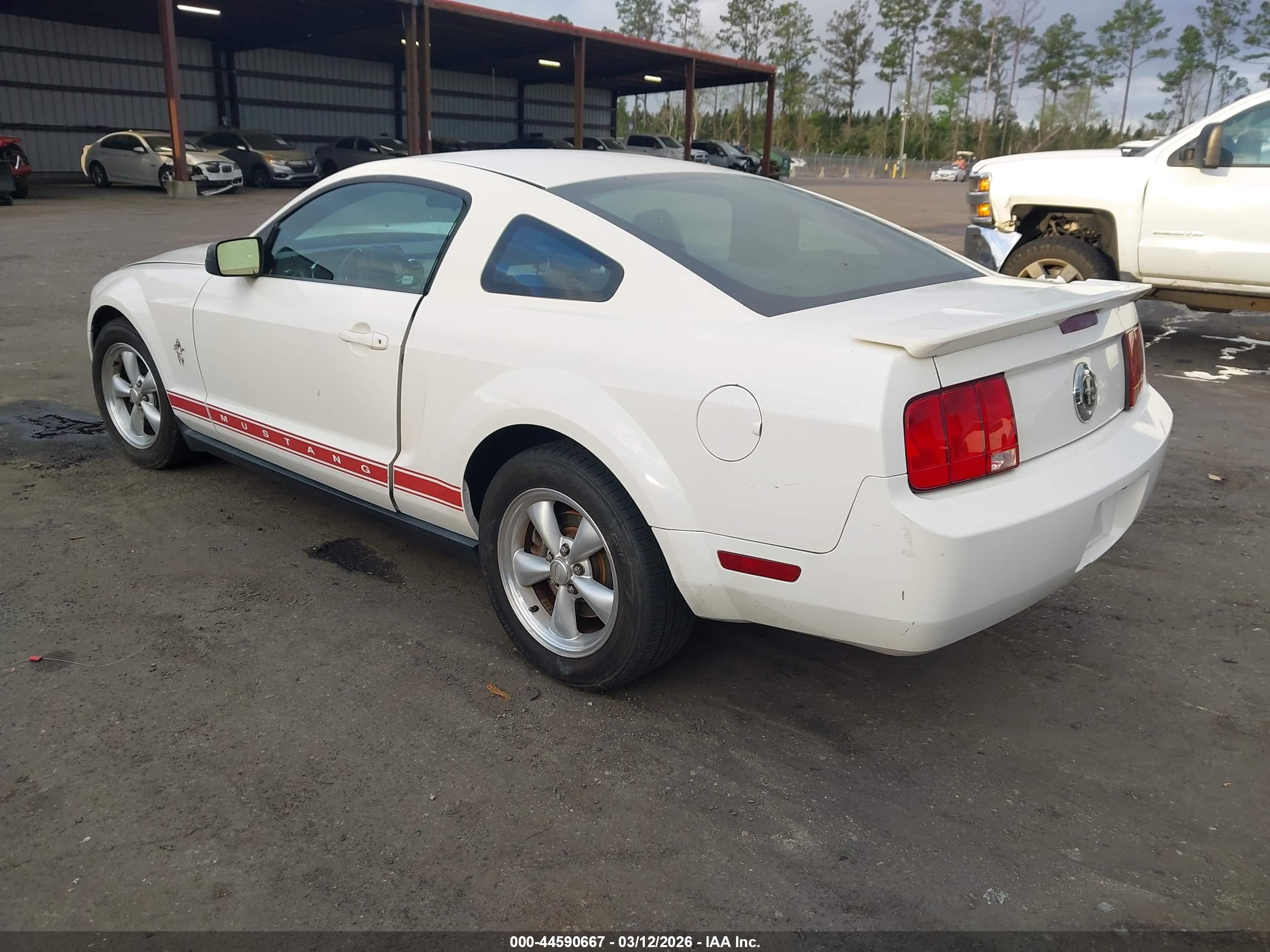 FORD MUSTANG image 3