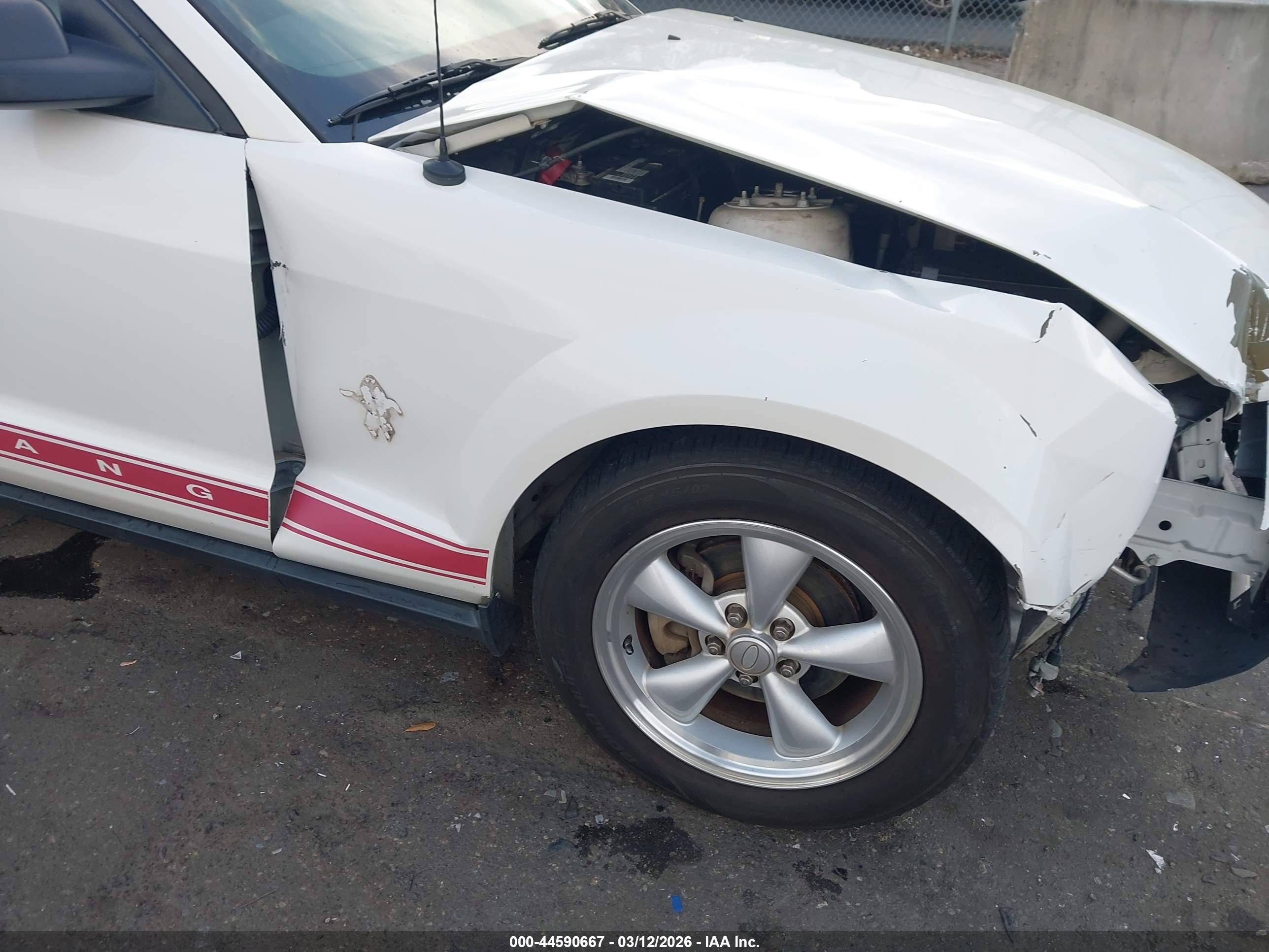 FORD MUSTANG image 6