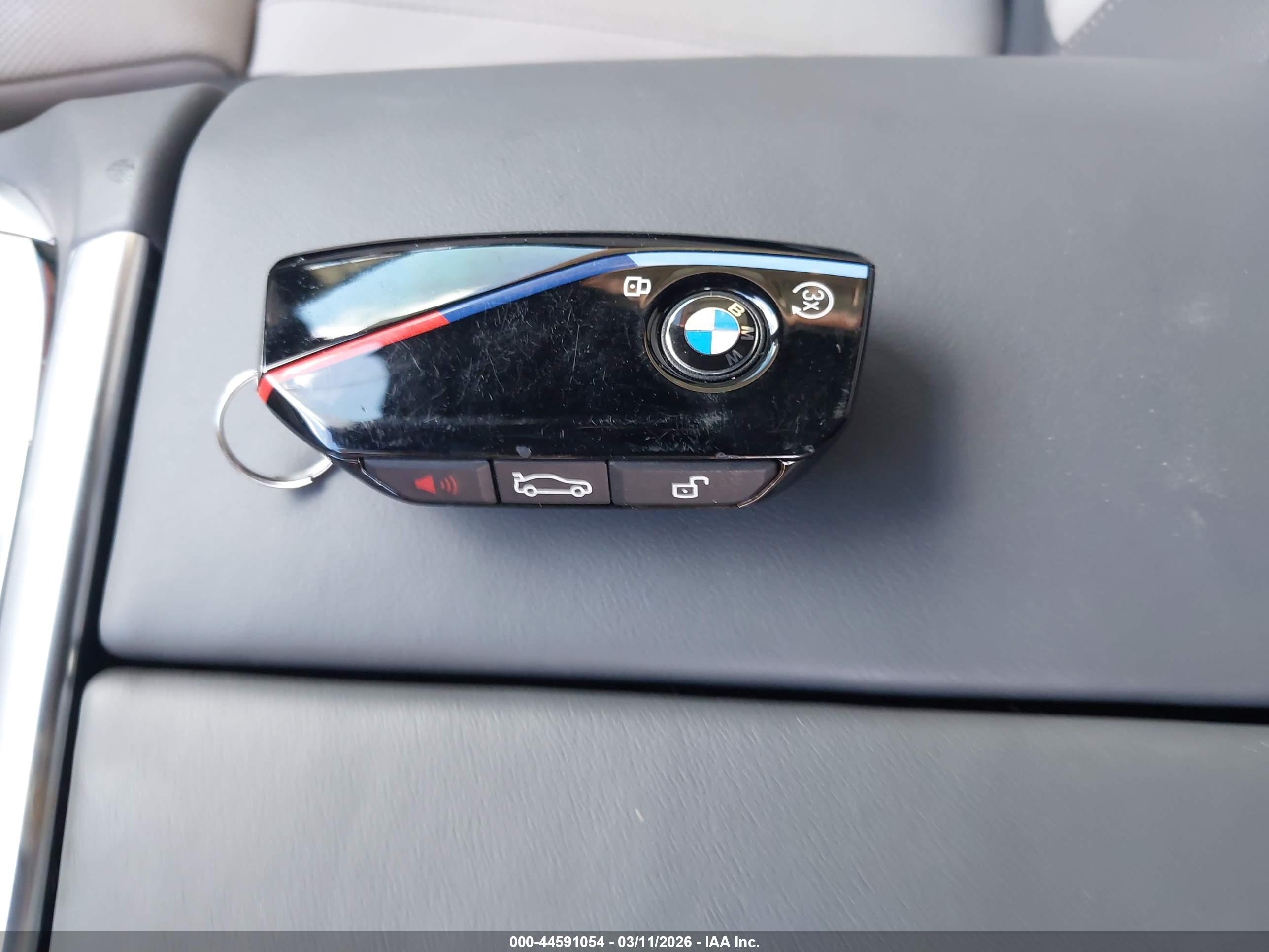 BMW X7 image 11