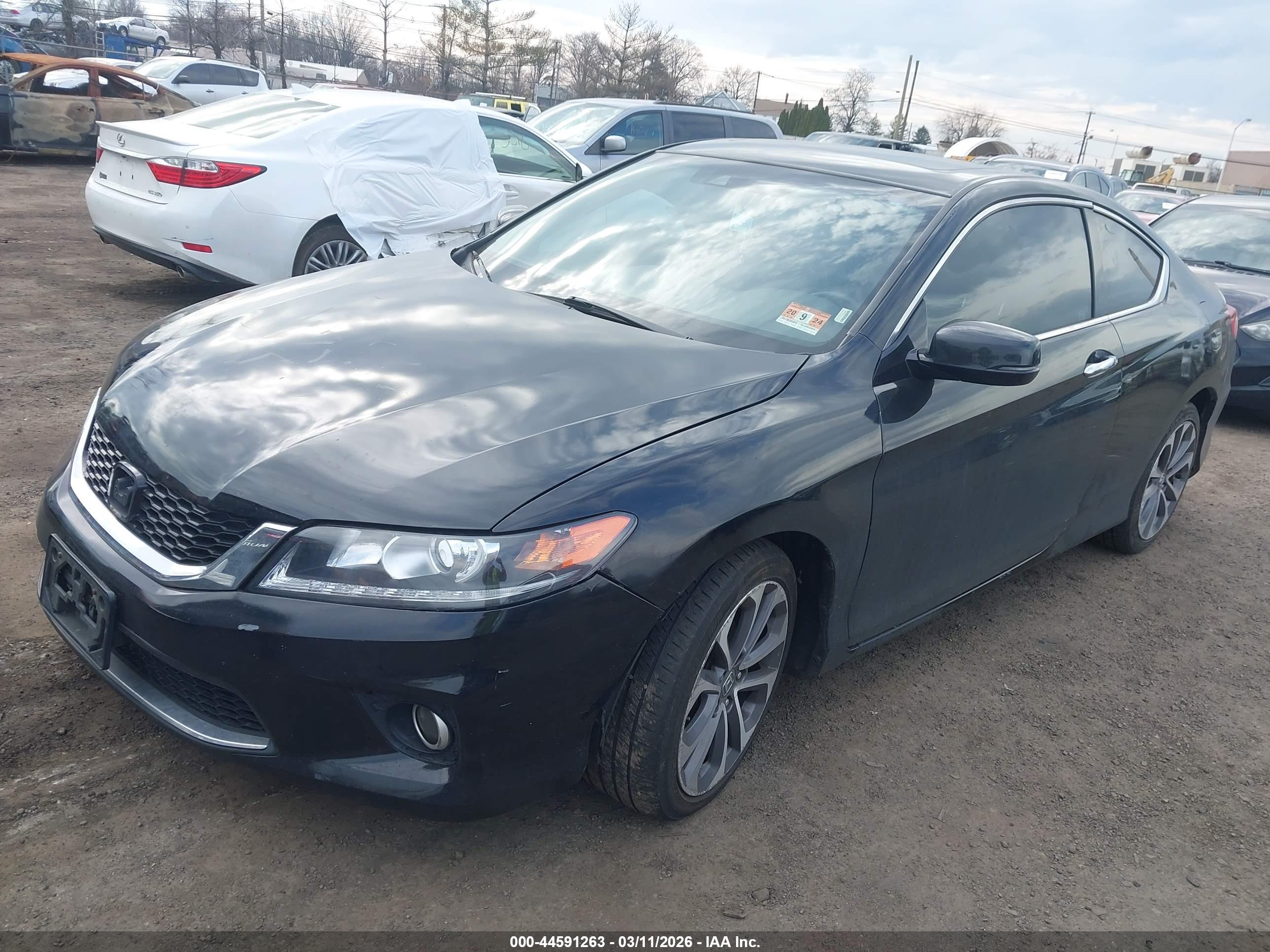 HONDA ACCORD image 2