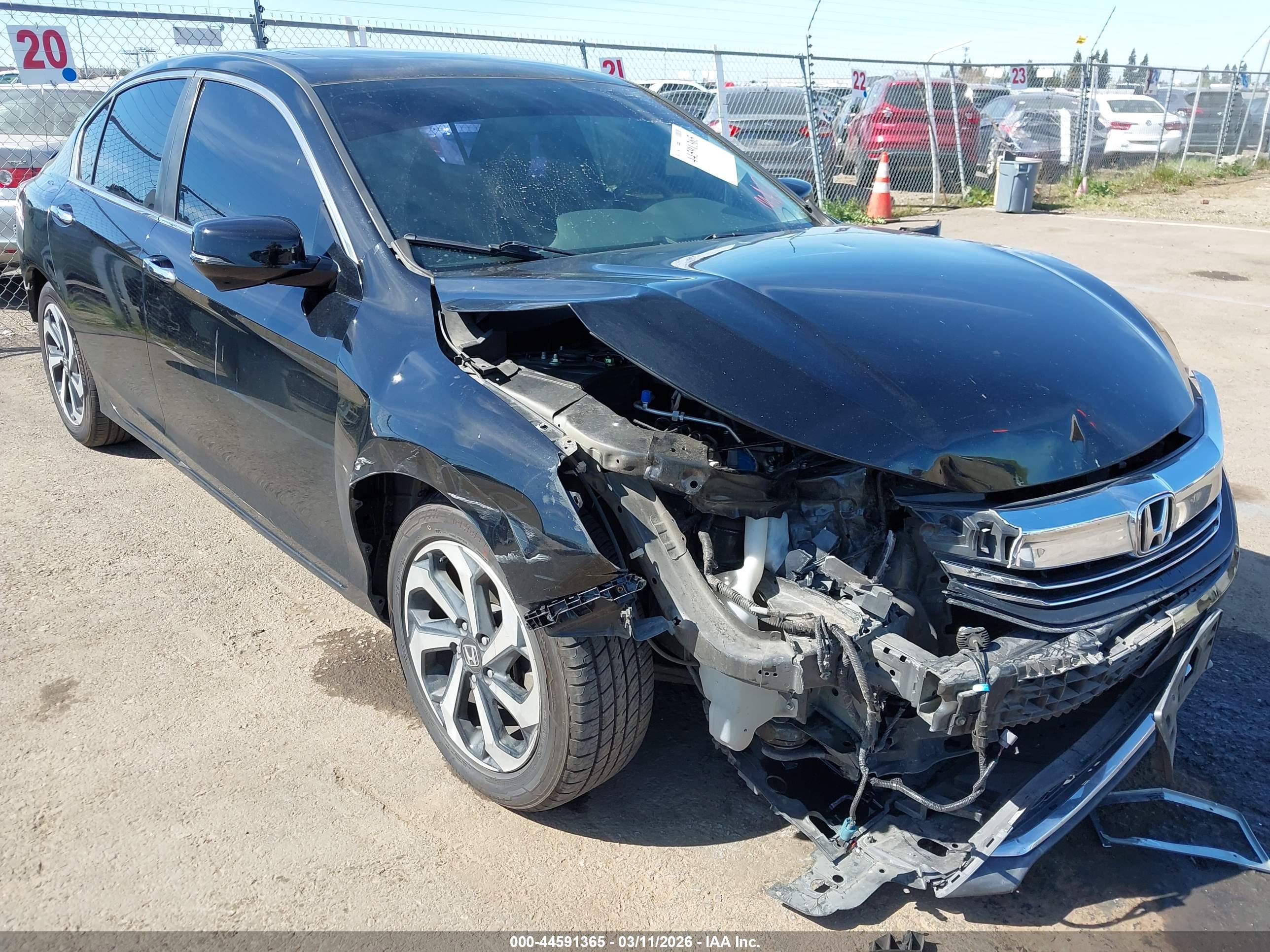 HONDA ACCORD image 6