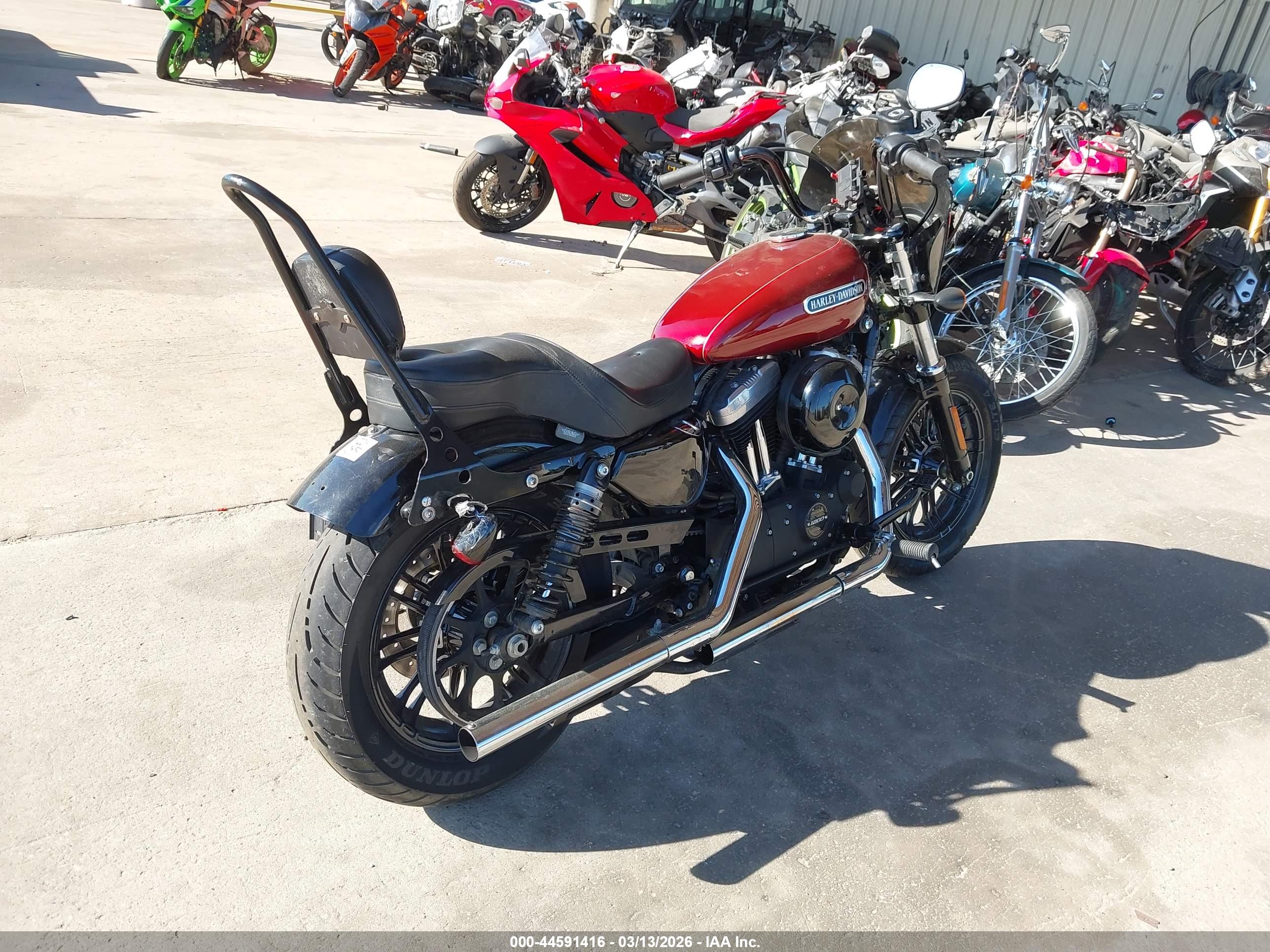HARLEY-DAVIDSON XL1200 image 4