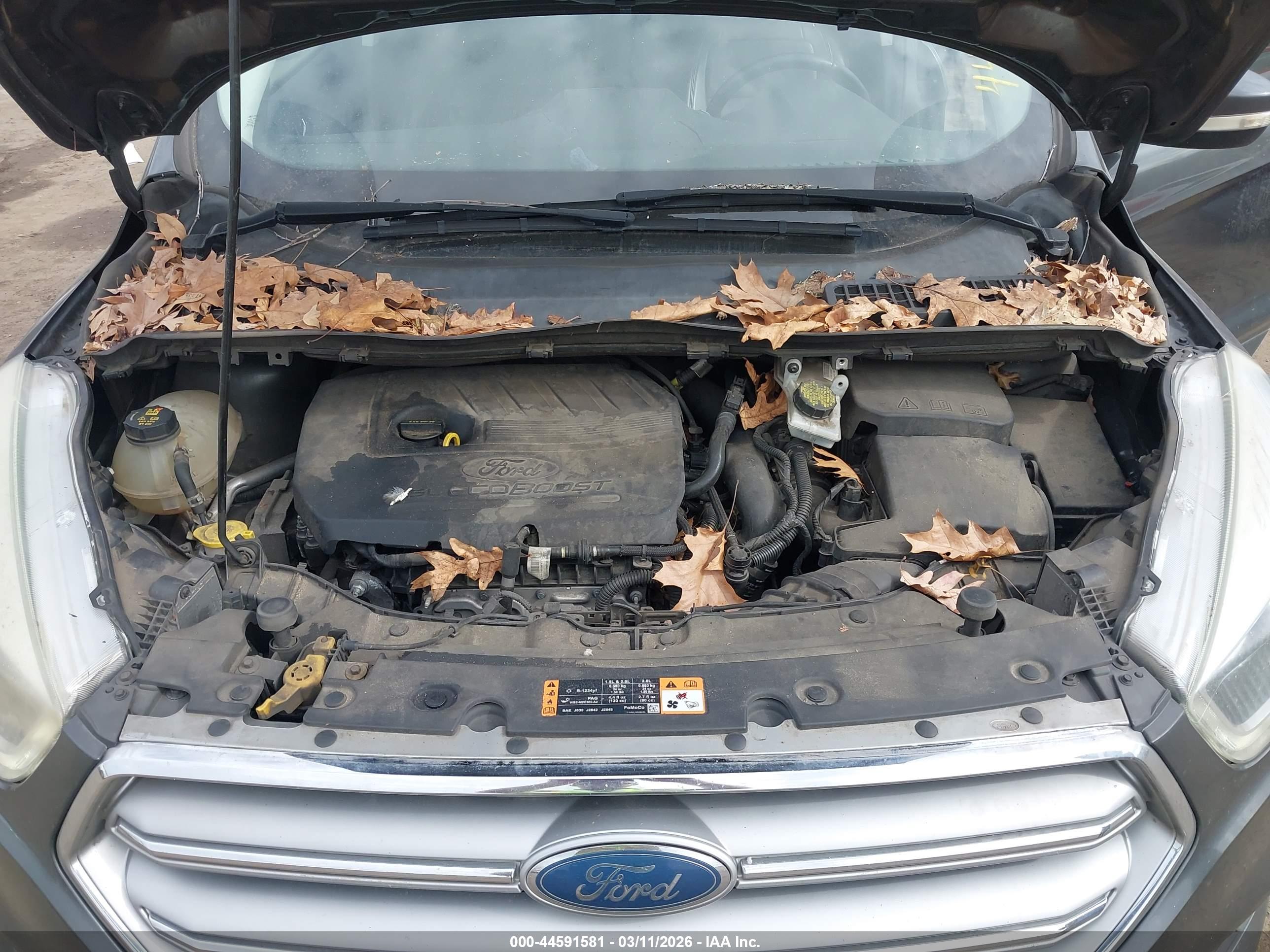 FORD ESCAPE image 10