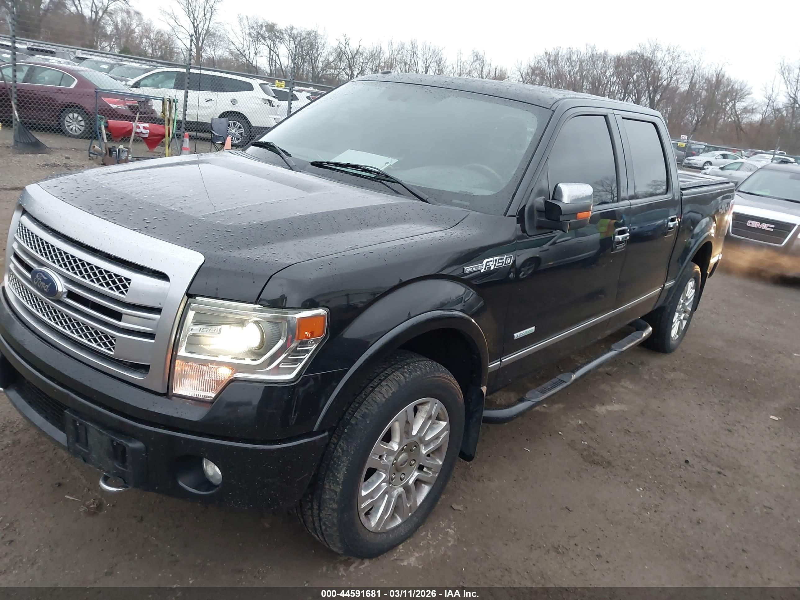 FORD F-150 image 2