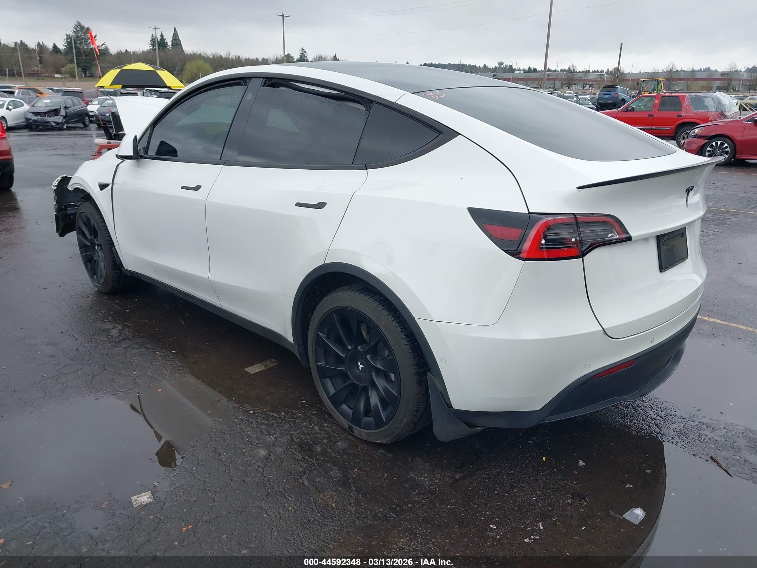 TESLA MODEL image 3